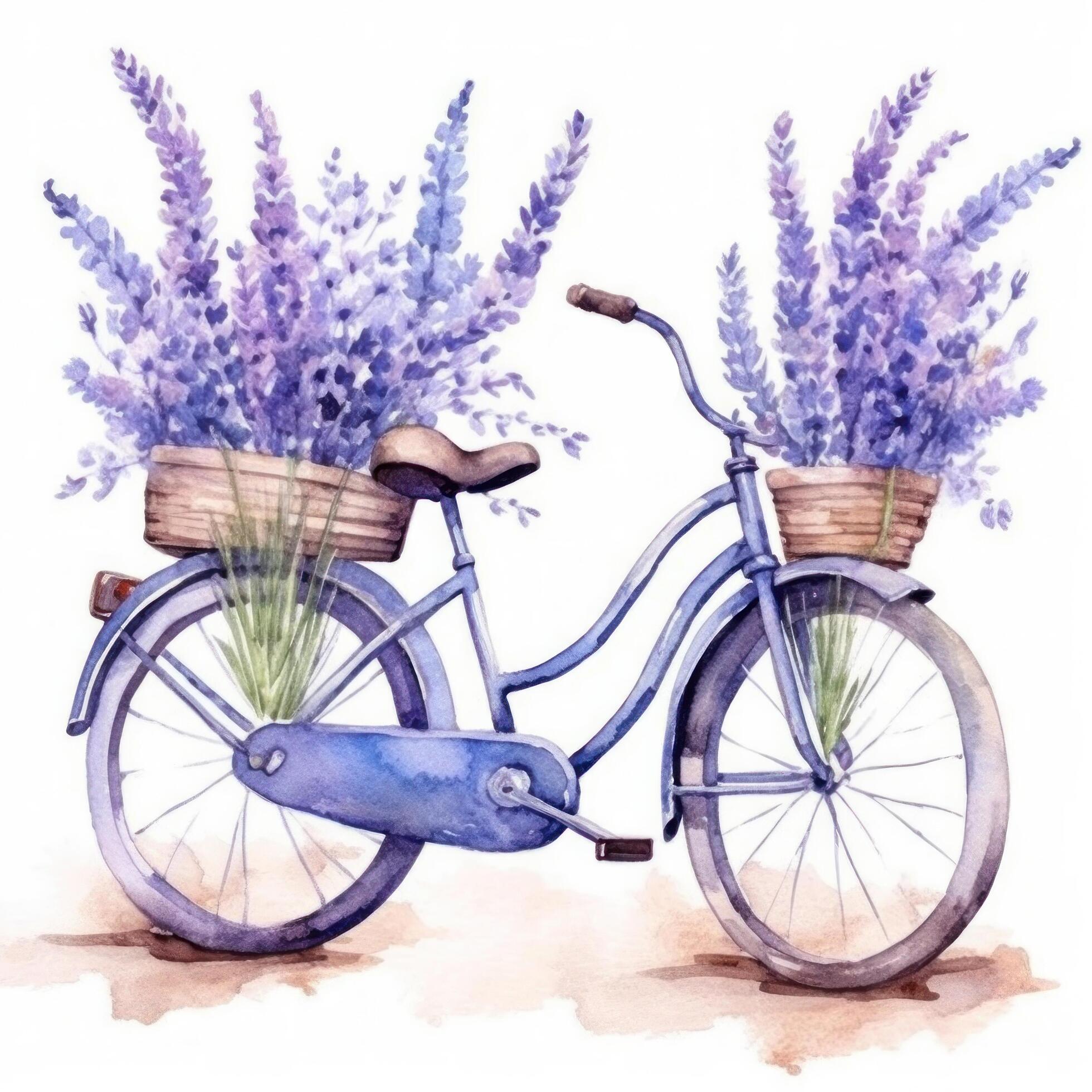 Cute watercolor bicycle with flowers. Illustration Stock Free