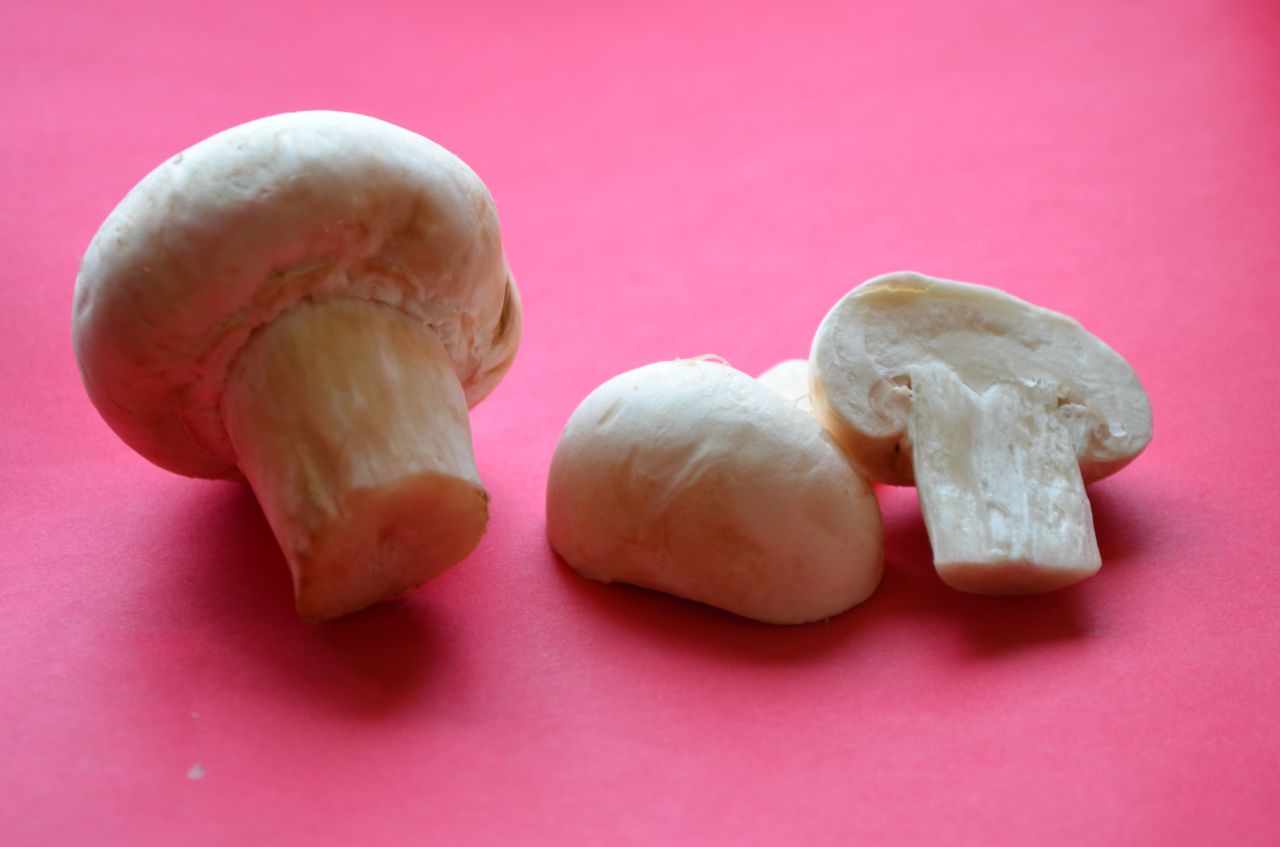 Food Mushrooms 2 Stock Free