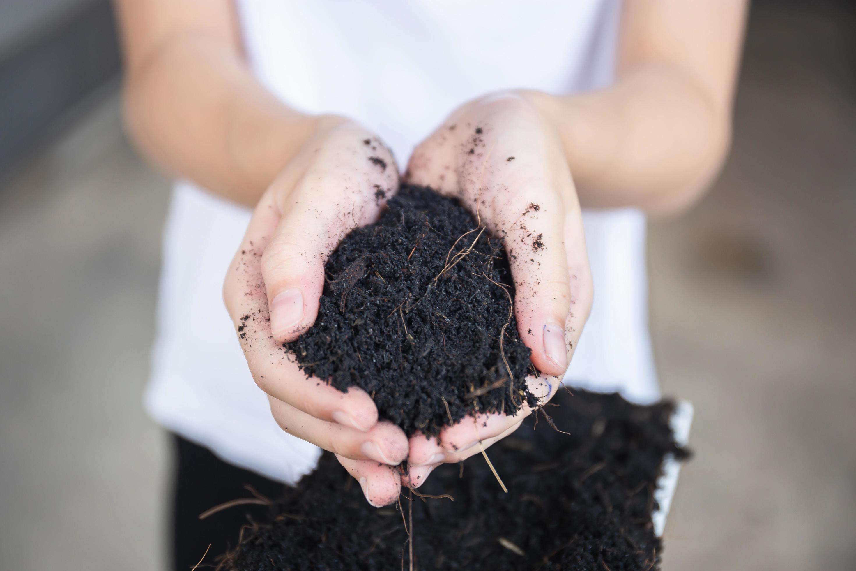 Little kid girl holding soil in hands with blurred background. growth concepts Stock Free