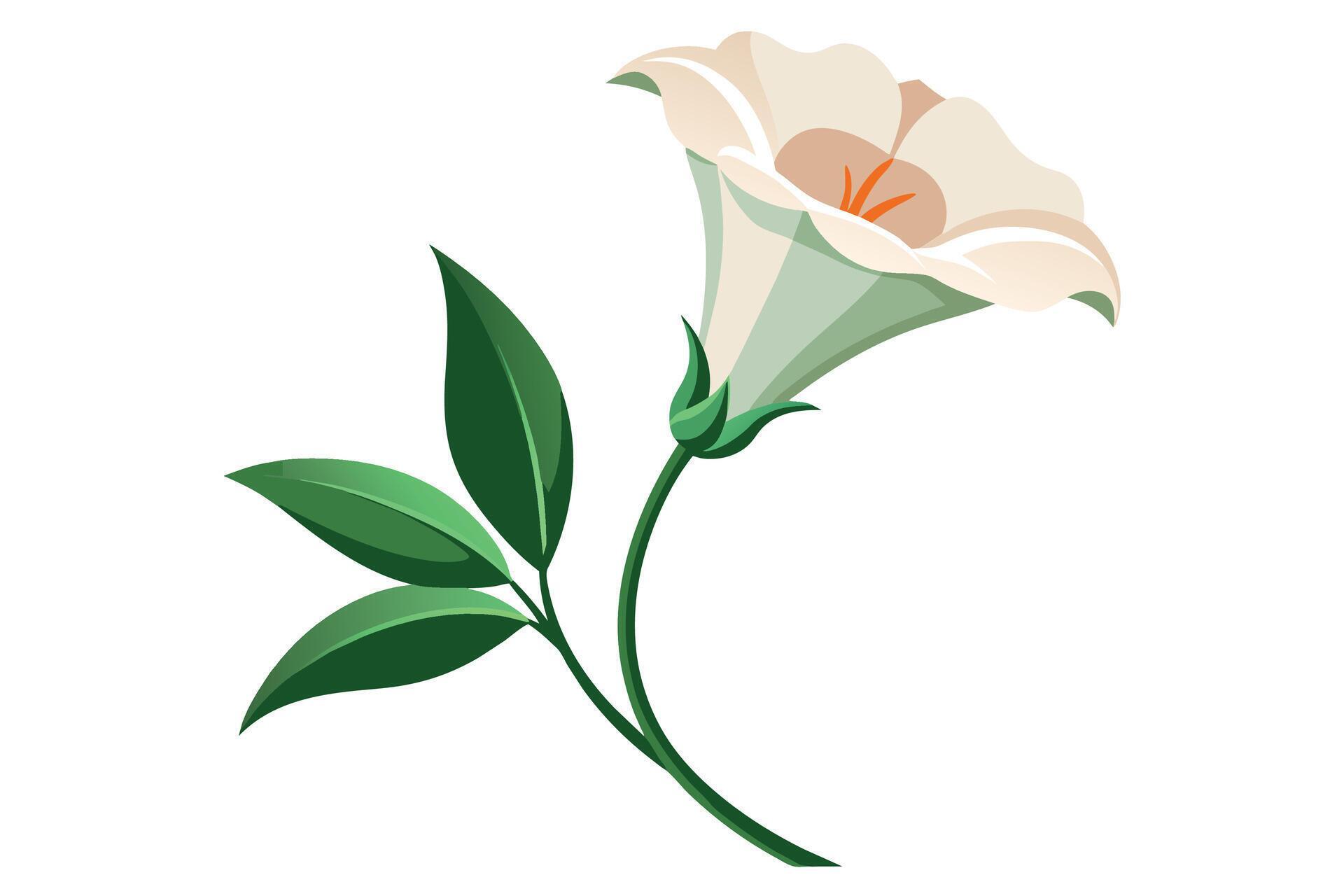 lisianthus Flower Vector Illustration Isolated on a Clean Background Stock Free