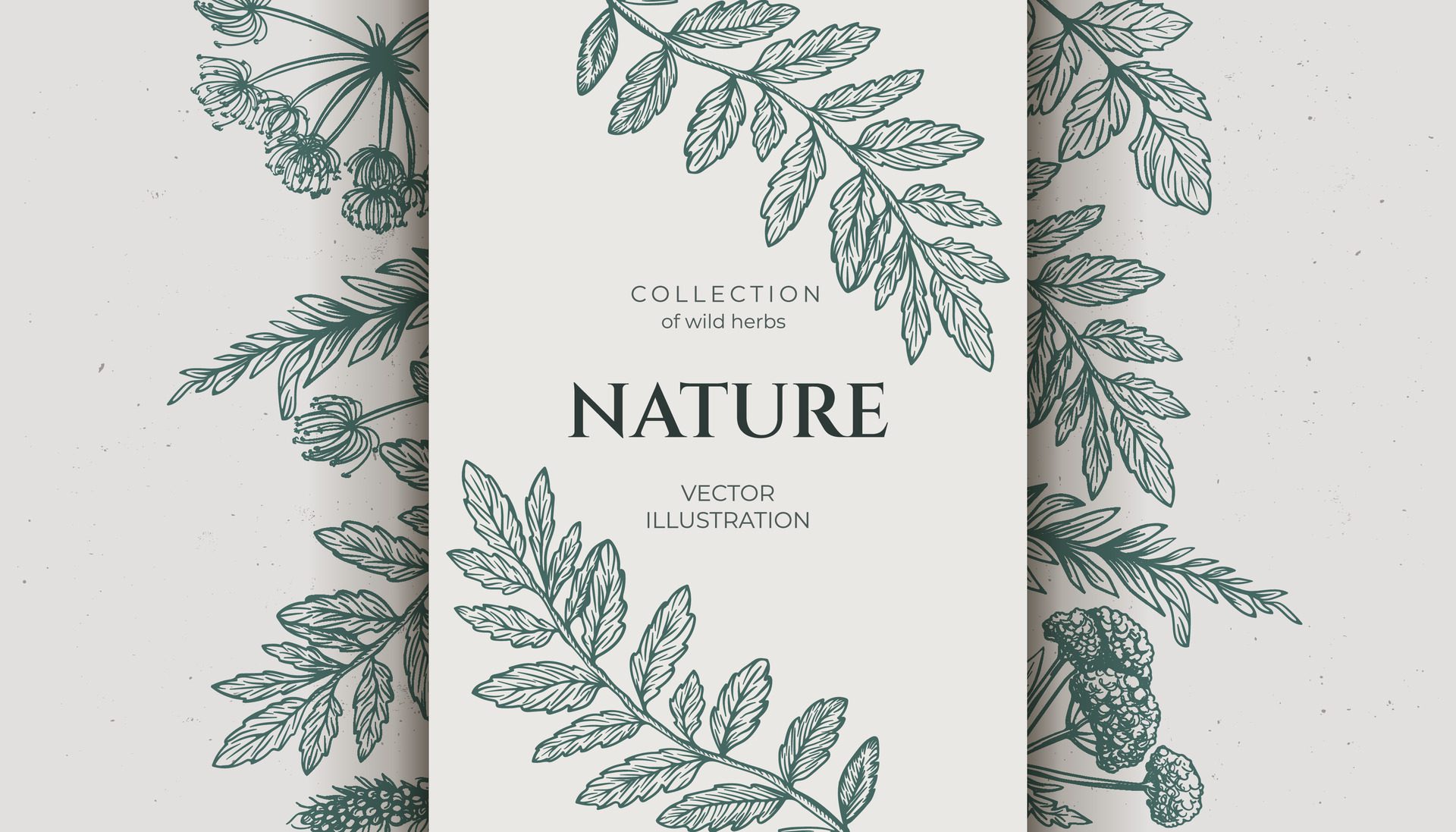 Background various wild herbs with a grunge background, space for text. Hand drawn in pencil style, featuring wild weeds. Vintage vibe banner. Free Vector