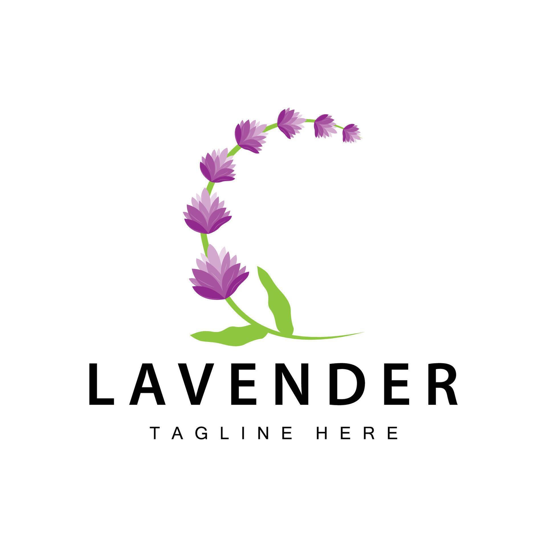 Lavender logo simple design vector cosmetic plant purple color and aromatherapy lavender flower garden template Stock Free