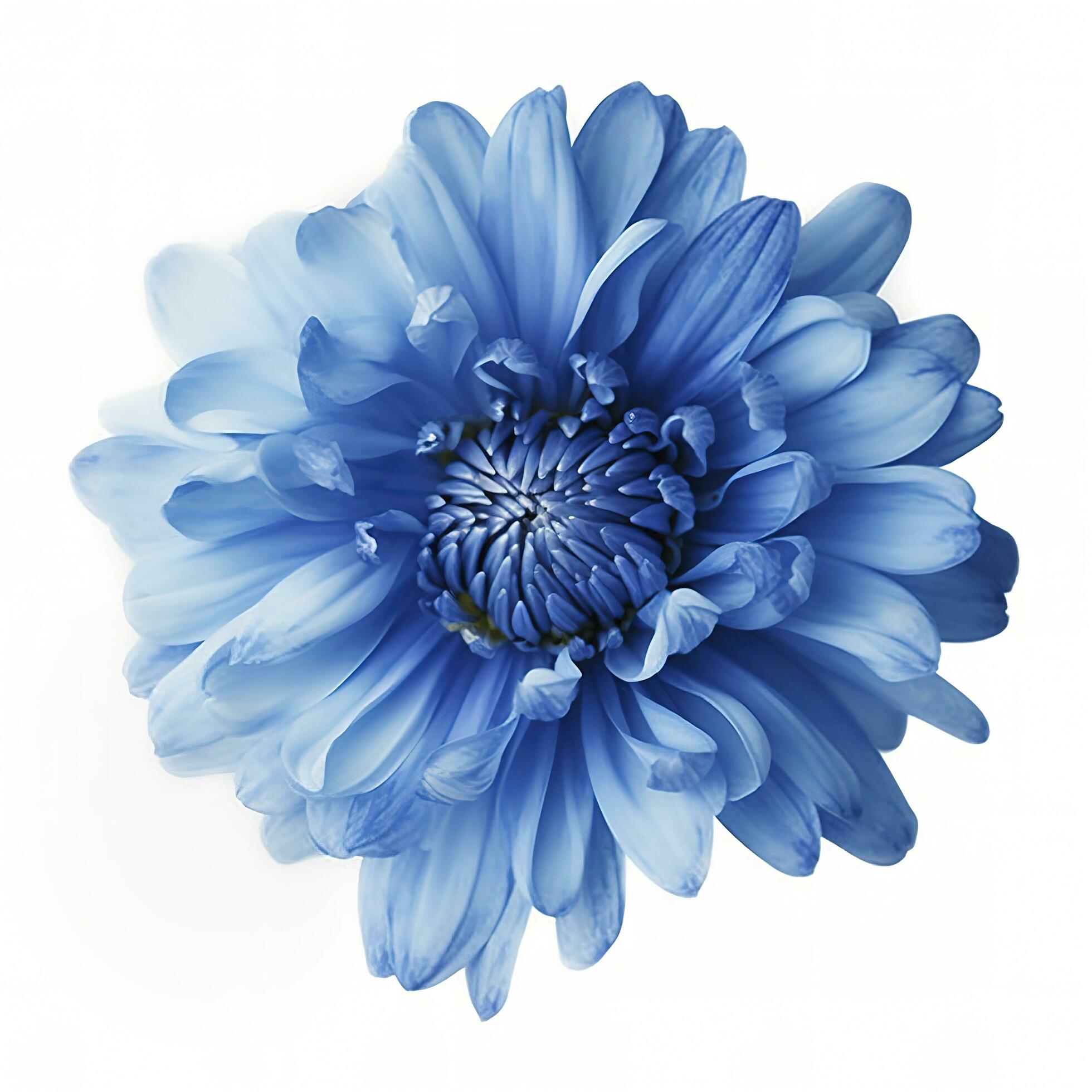 Blue flower isolated on white background, png with transparency , generate ai Stock Free