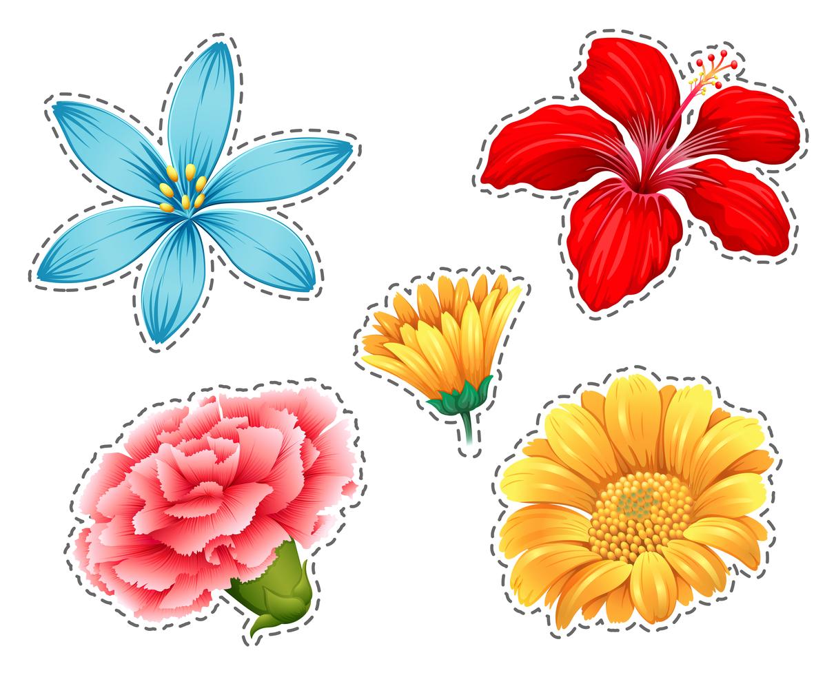 Sticker set with different types of flowers Stock Free