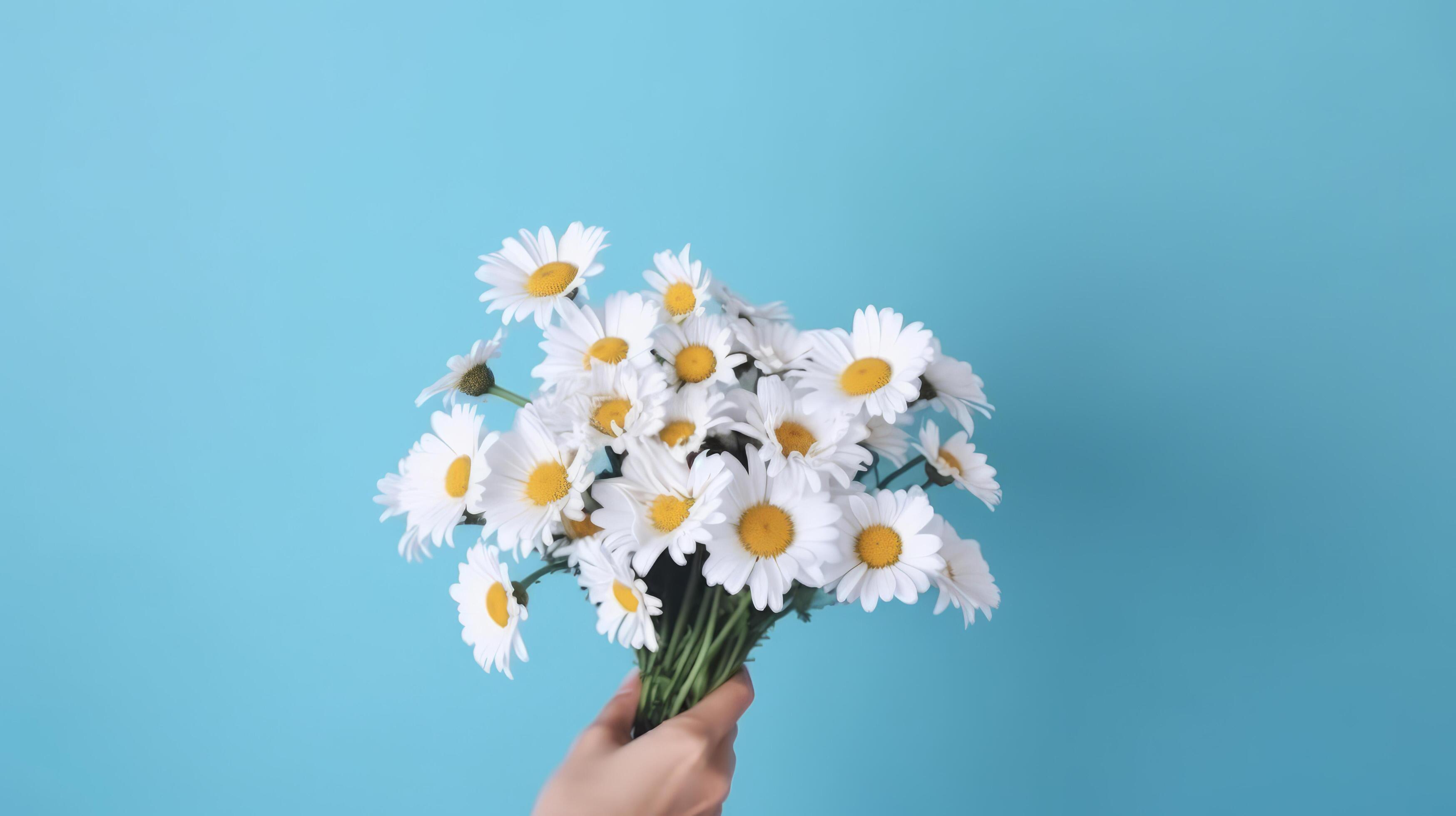 Hands with daisy flowers. Illustration Stock Free