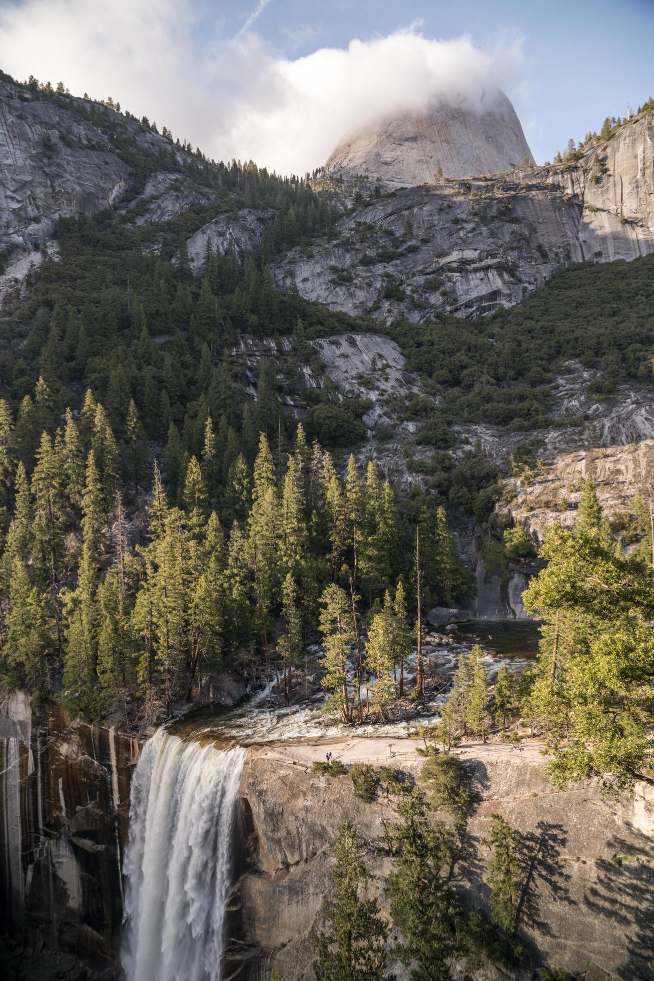 Beautiful Yosemite Valley National Park in the daytime Stock Free