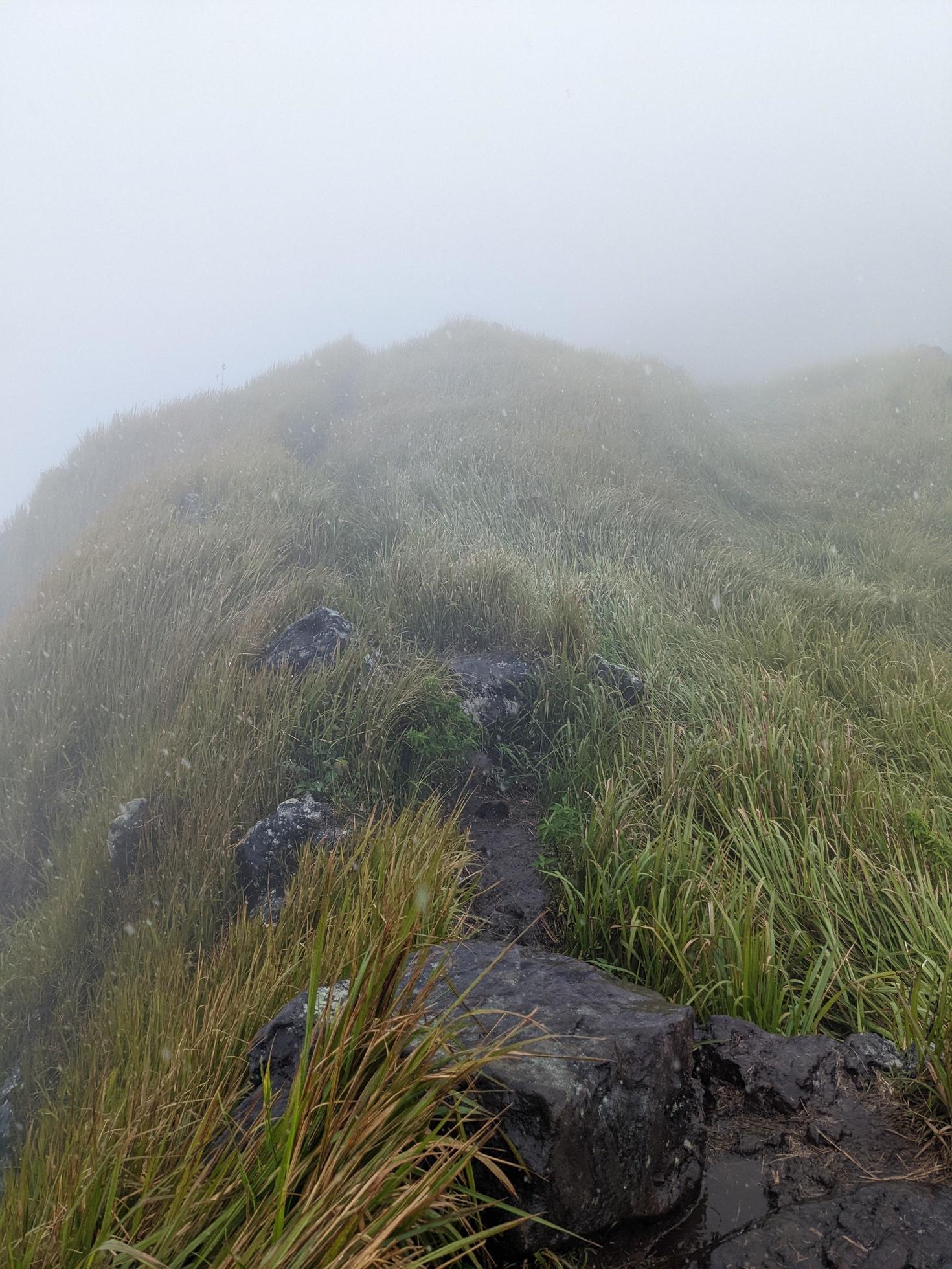 The way going to peak mountain, with Savana and foggy vibes. The photo is suitable to use for adventure content media, nature poster and forest background. Stock Free