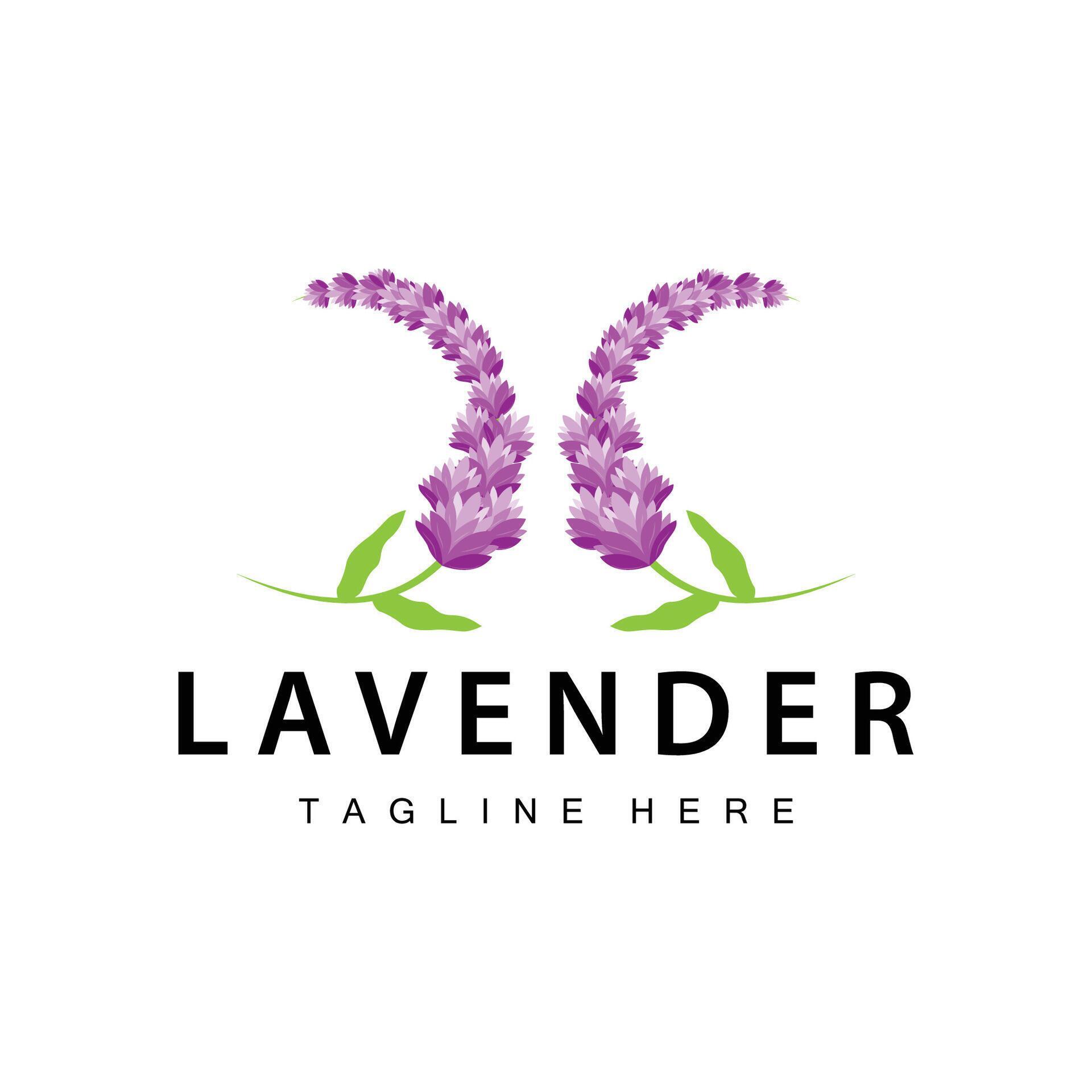 Lavender logo simple design cosmetic plant purple color and aromatherapy lavender flower garden template Stock Free