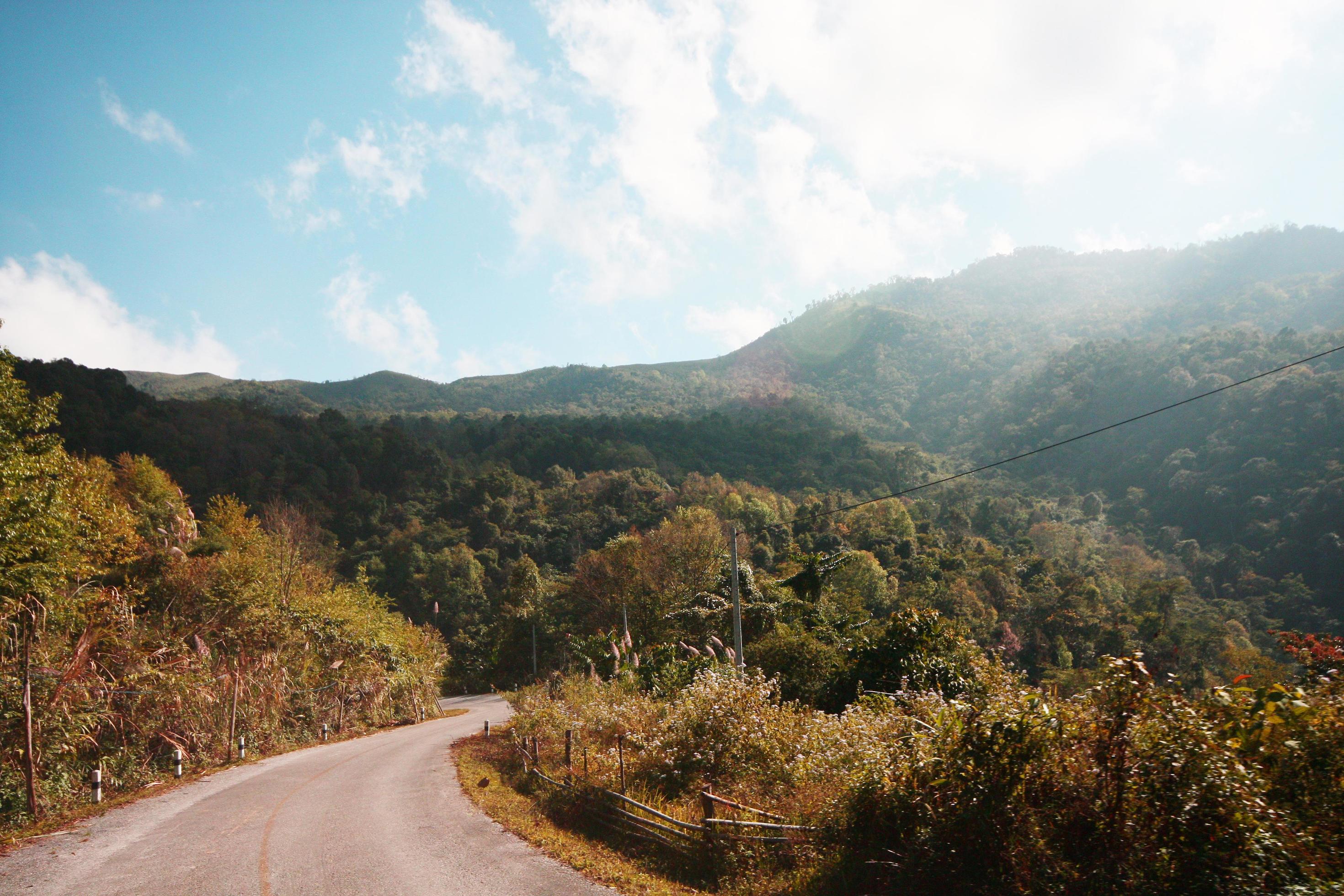 Yellow Sign label warning of curve road on the mountain in Thailand Stock Free