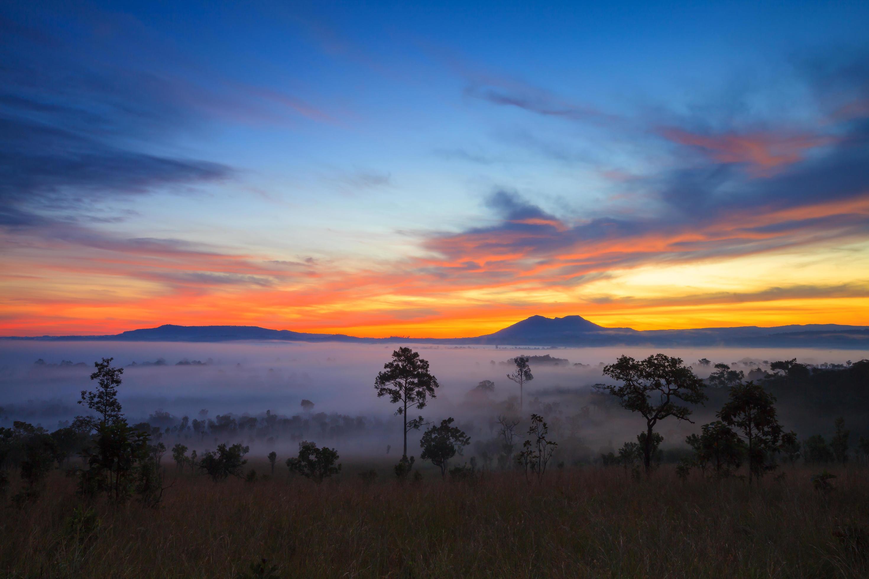 misty morning sunrise in mountain at Thung Salang Luang National Park Phetchabun,Thailand Stock Free