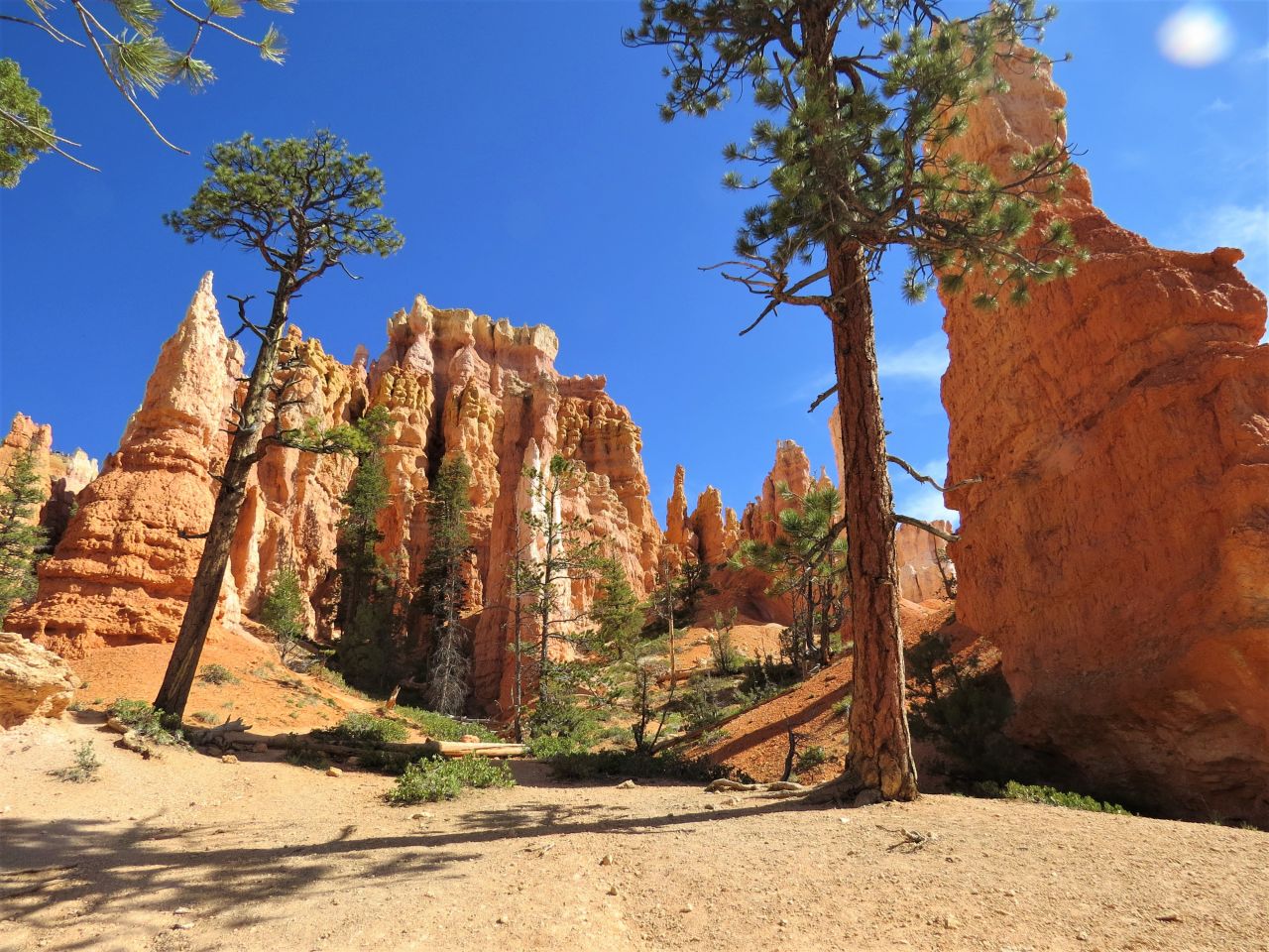 Bryce canyon Stock Free