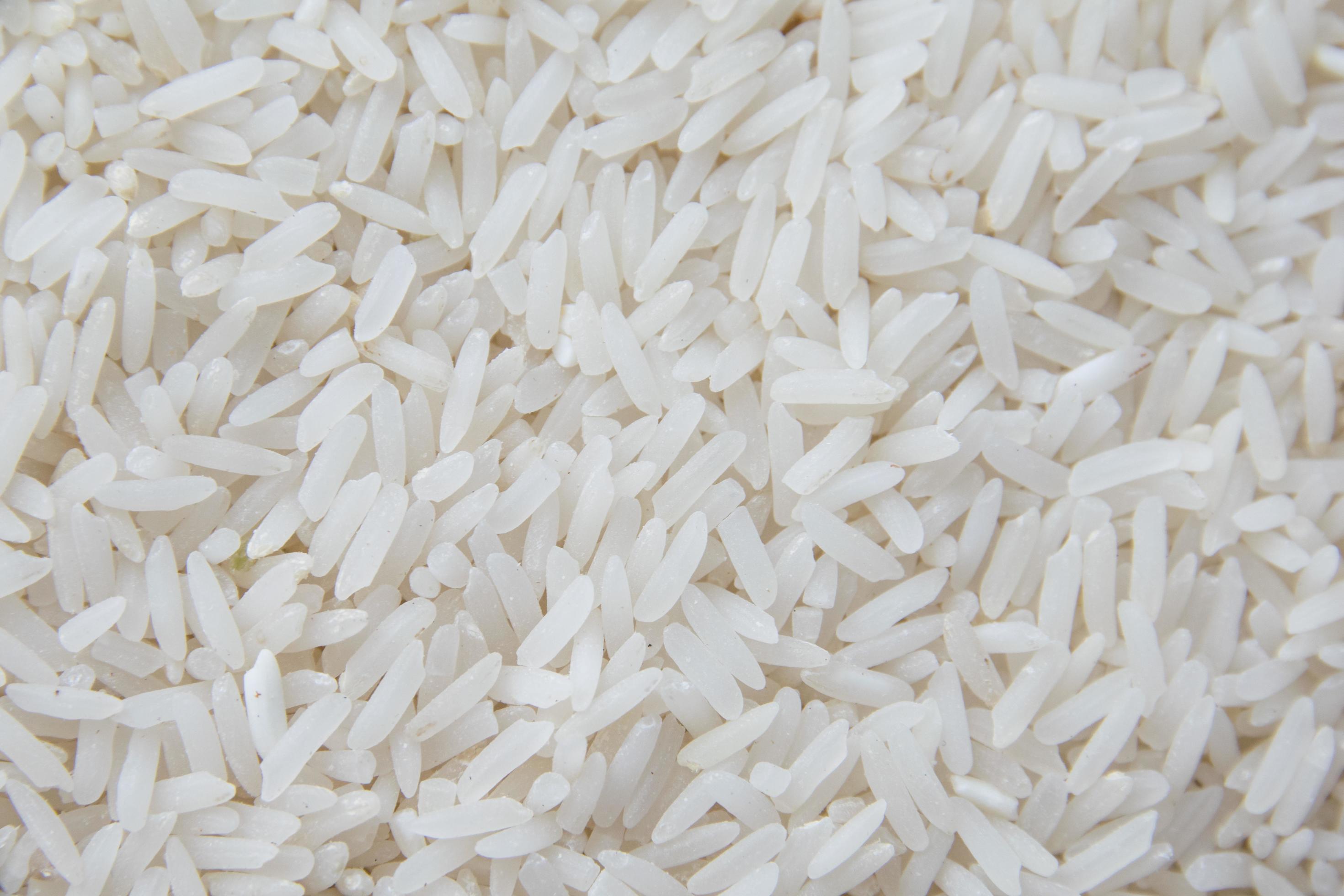 jasmine rice. food Stock Free