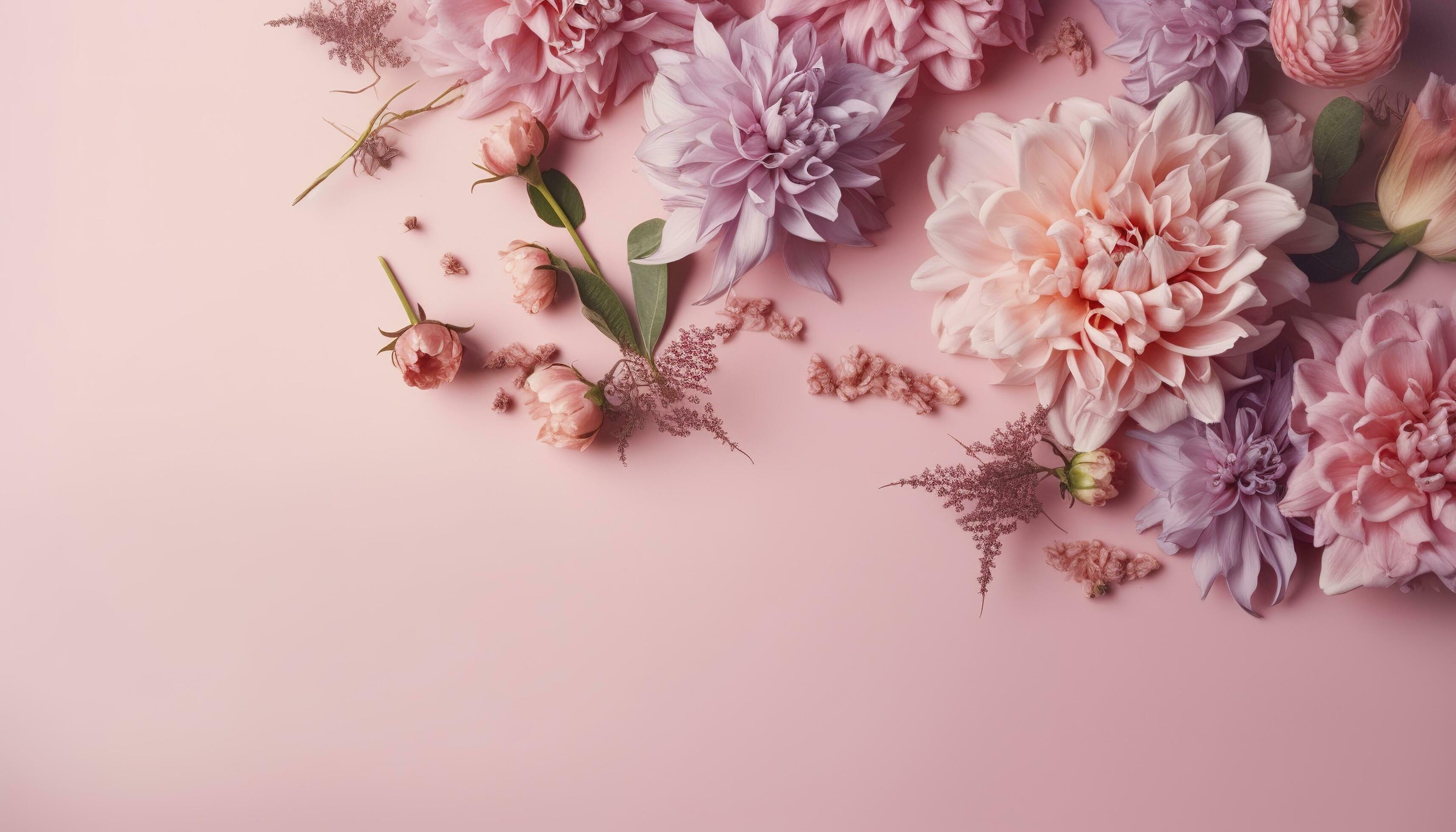 pink flowers composition over pastel background, generate ai Stock Free