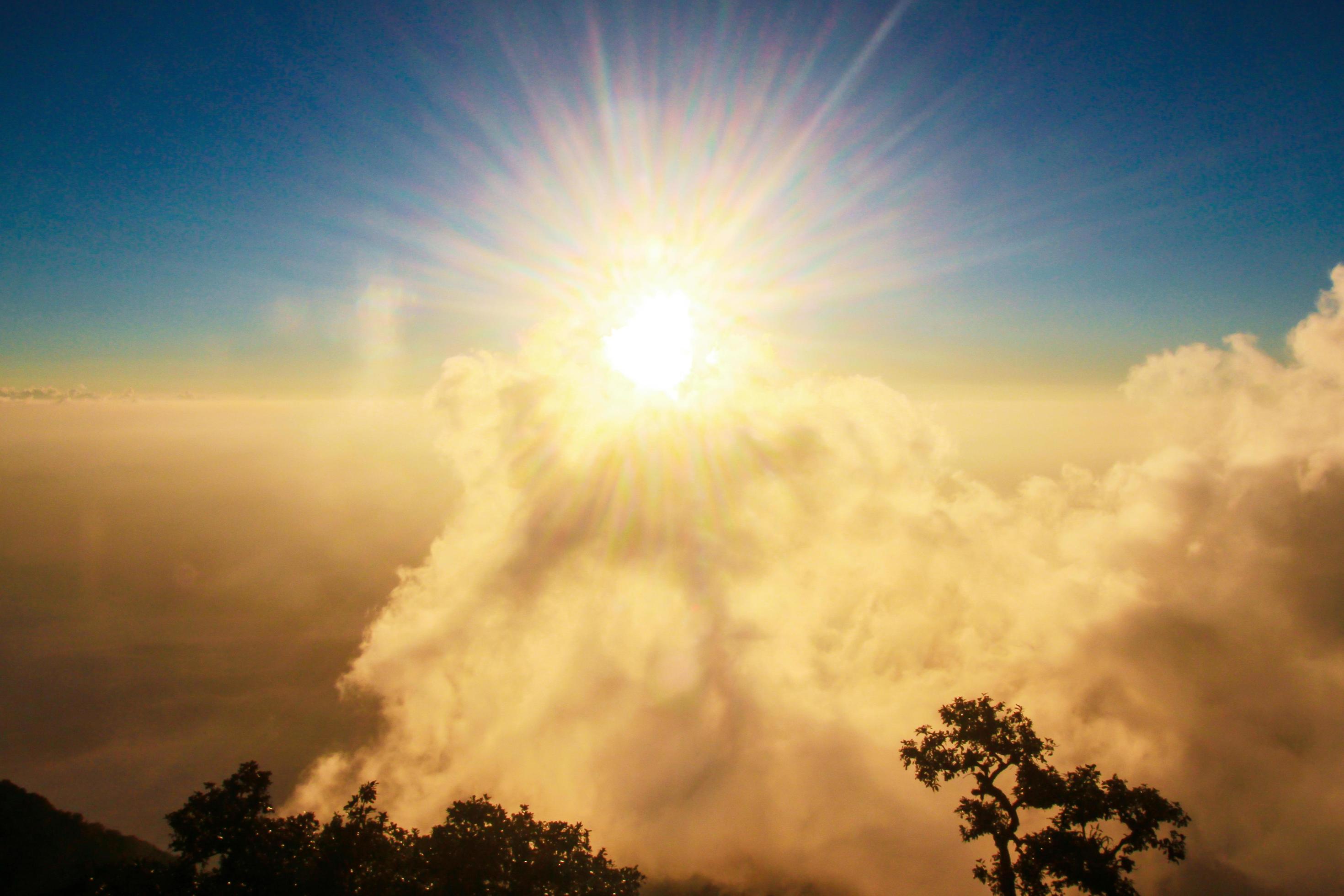 Golden light with sunrise in morning on the sky and cloud .Fog cover the jungle hill in Thailand Stock Free