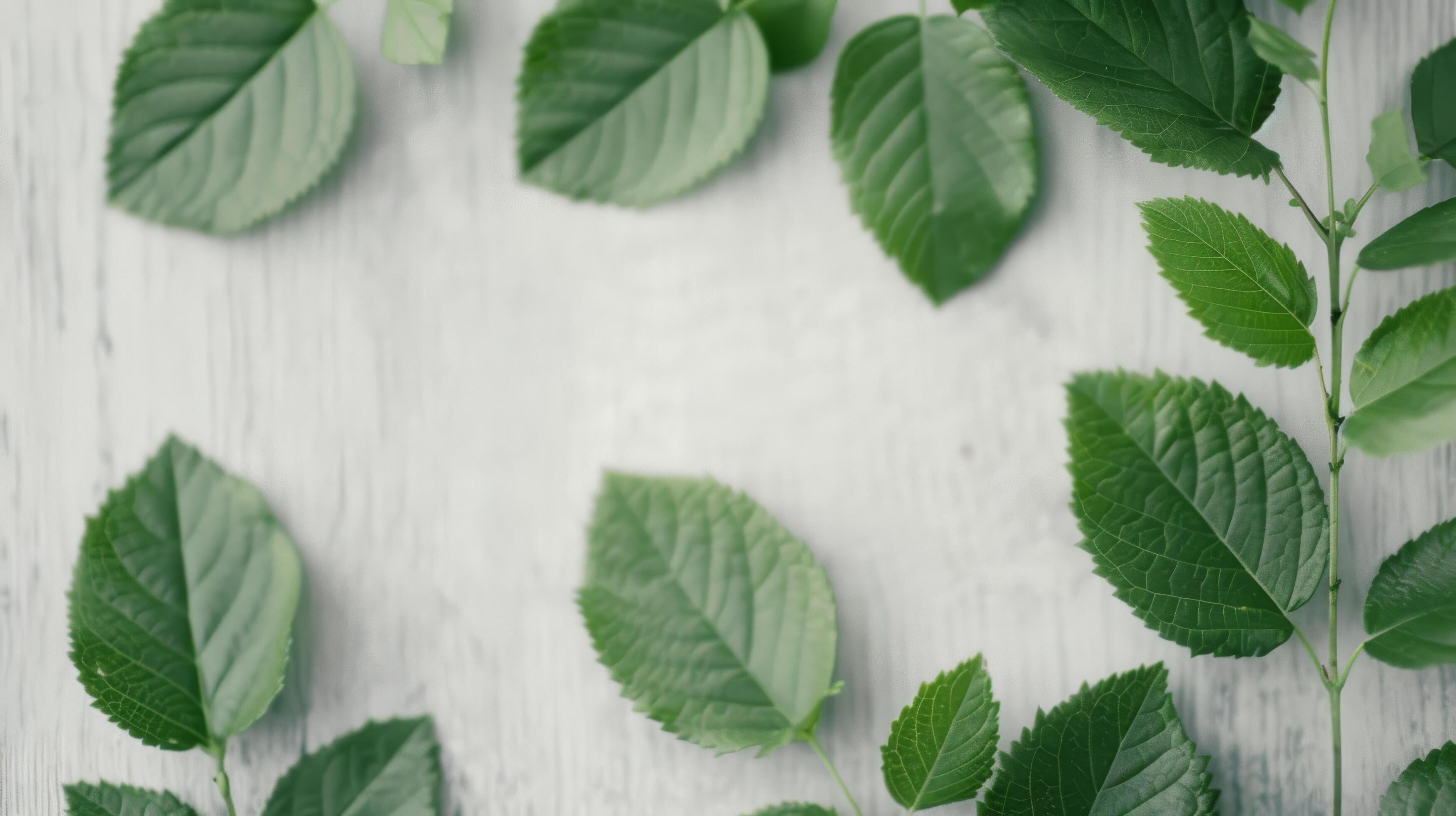 
									Fresh Green Leaves on Soft Fabric Background Stock Free