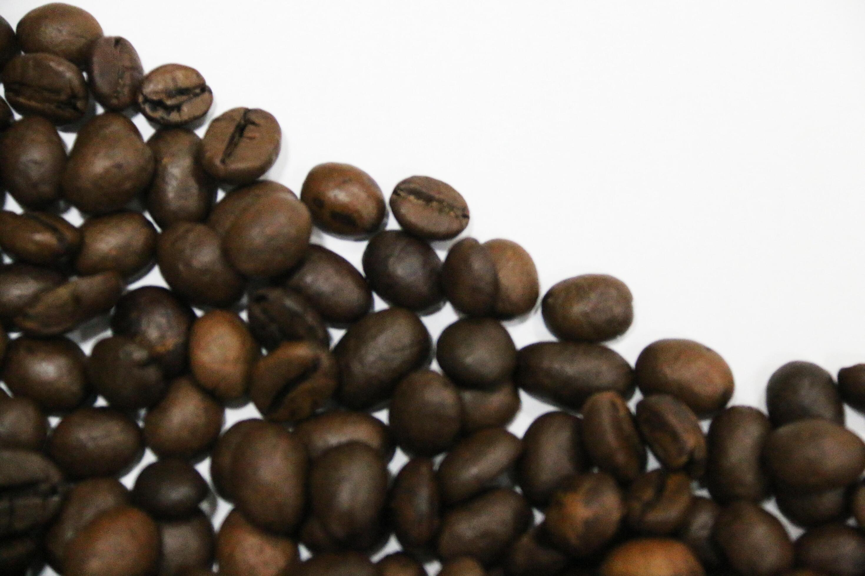 photo of coffee beans on a white background Stock Free