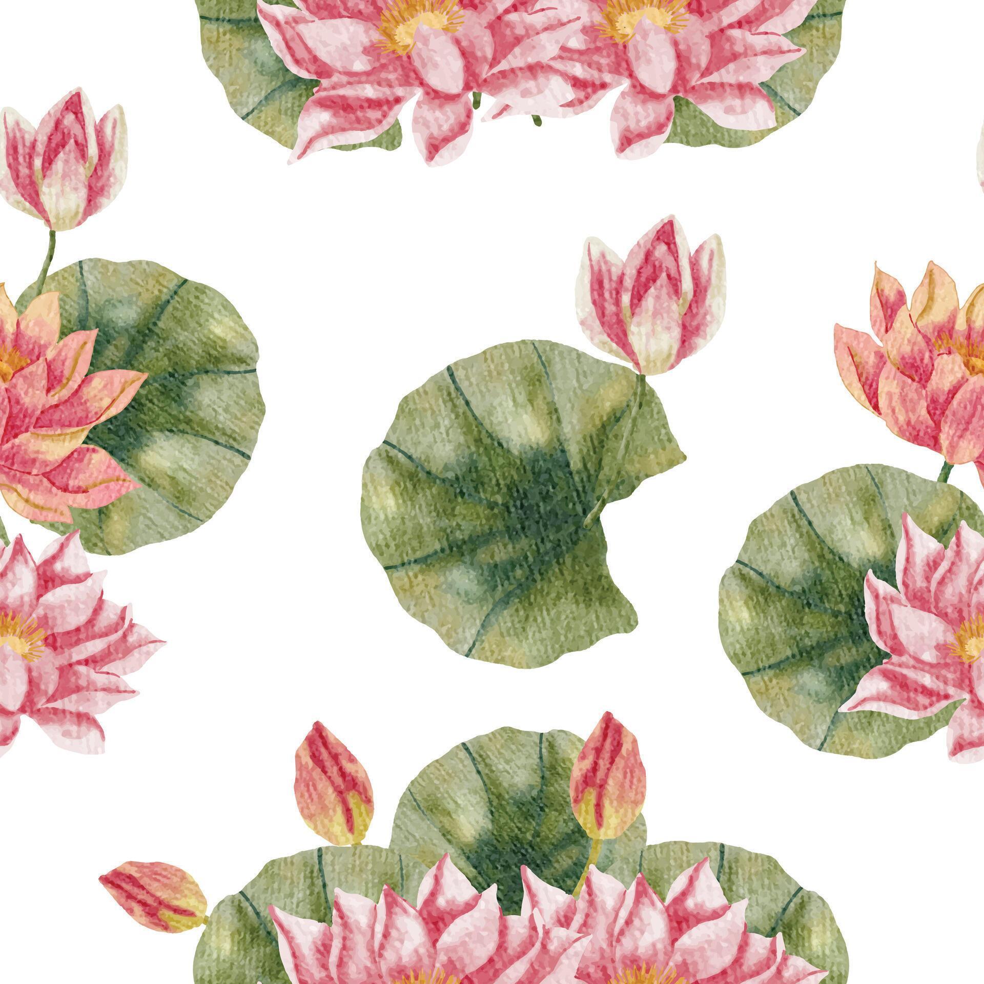 Pink Water Lily Watercolor Flower Seamless Pattern Stock Free