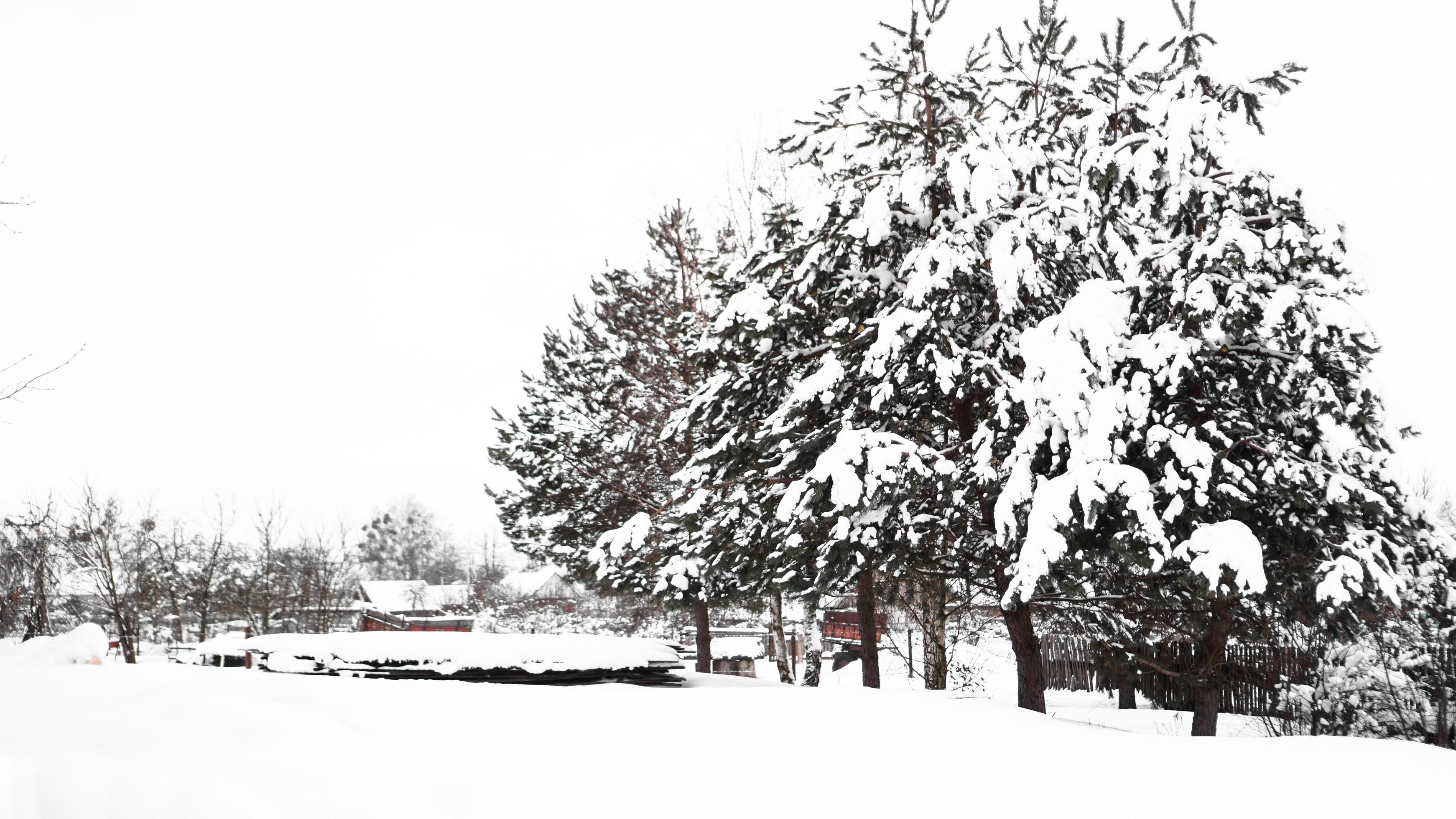 Countryside and nature in winter. A lot of snow after a snowfall Stock Free