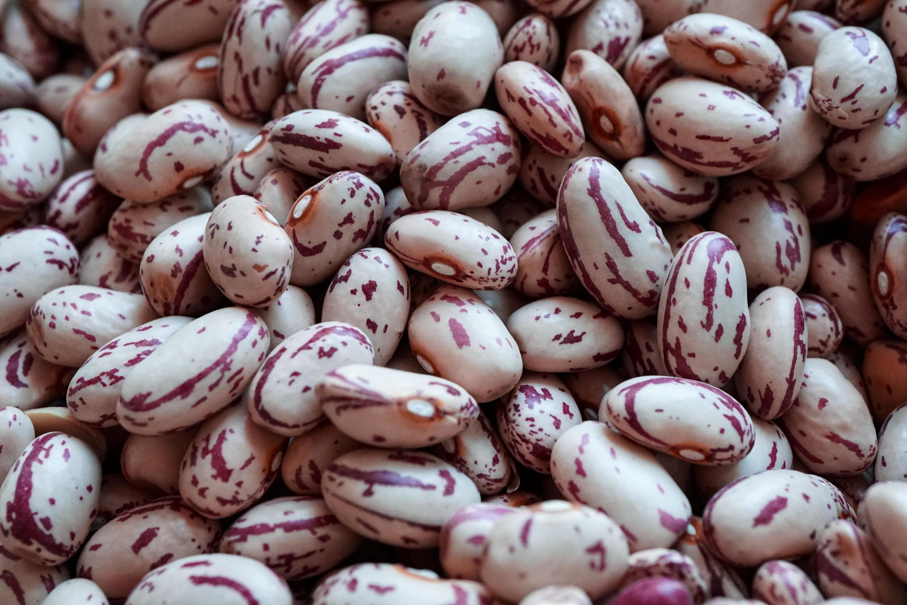 uncooked red beans, mediterranean food Stock Free