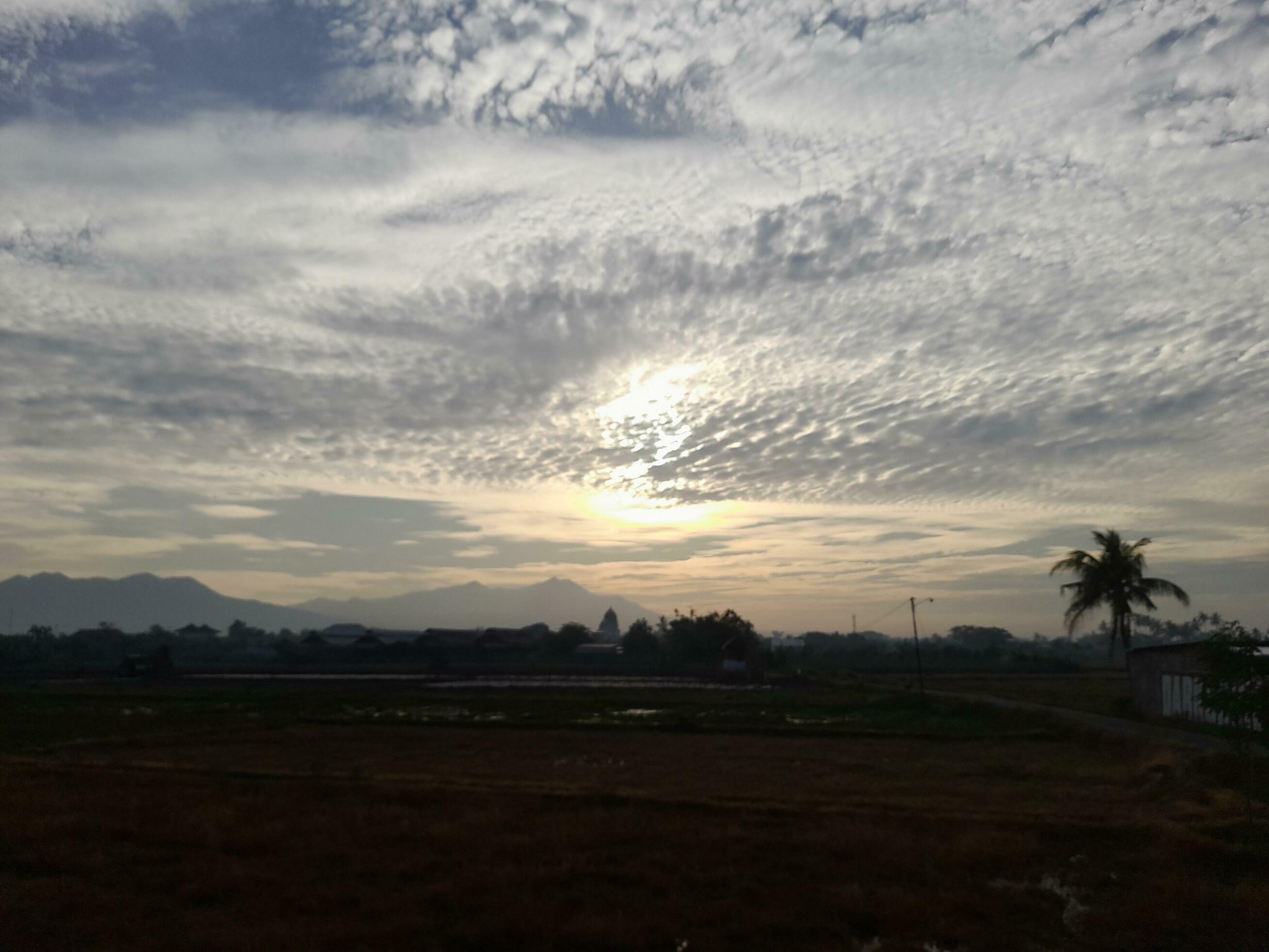 Beautiful view of the sky on the rice paddy field during sunrise in Lombok Island, Indonesia. Nature composition Stock Free