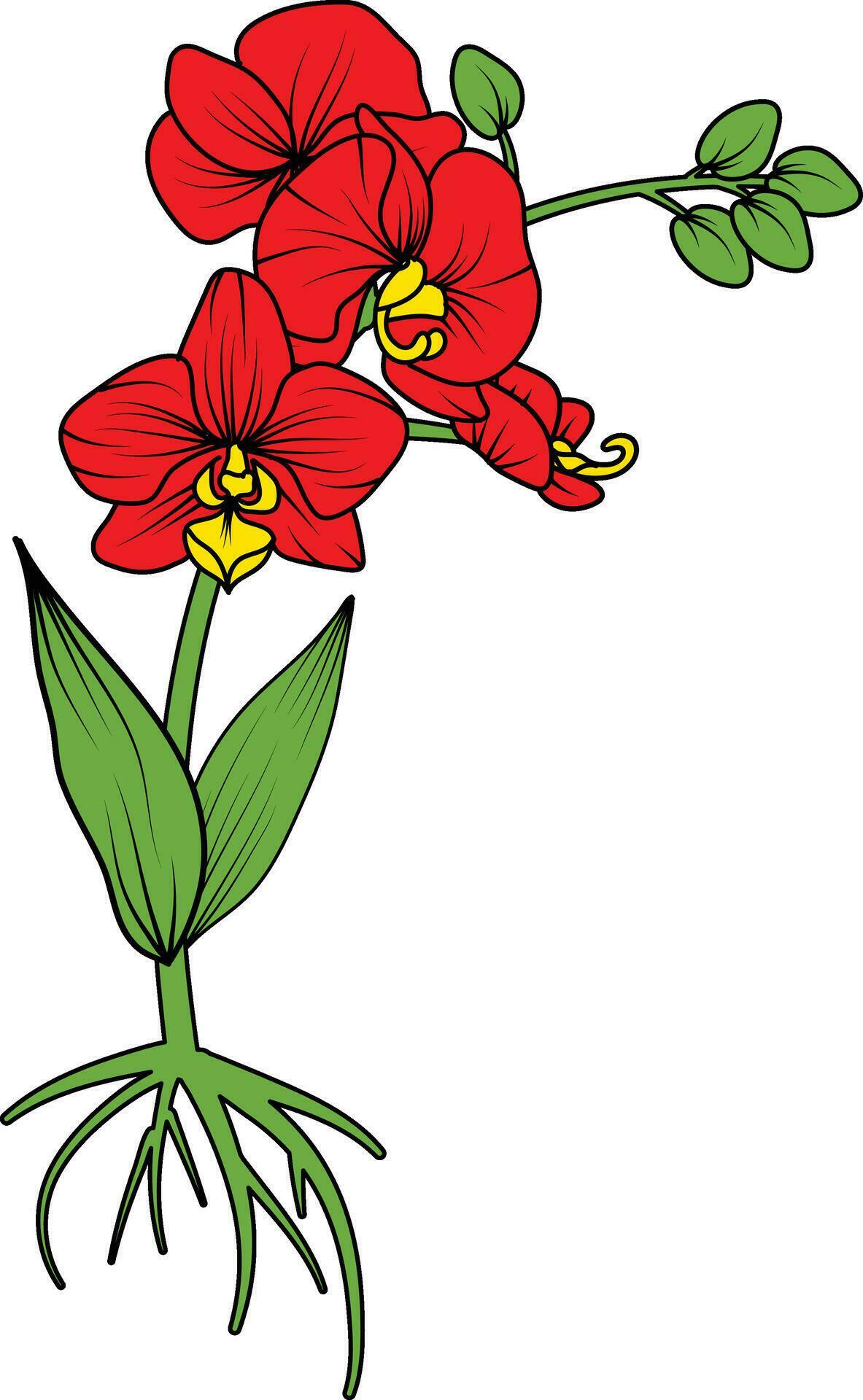 Red orchid branch vector flower, illustration of beautiful red orchid flower Stock Free