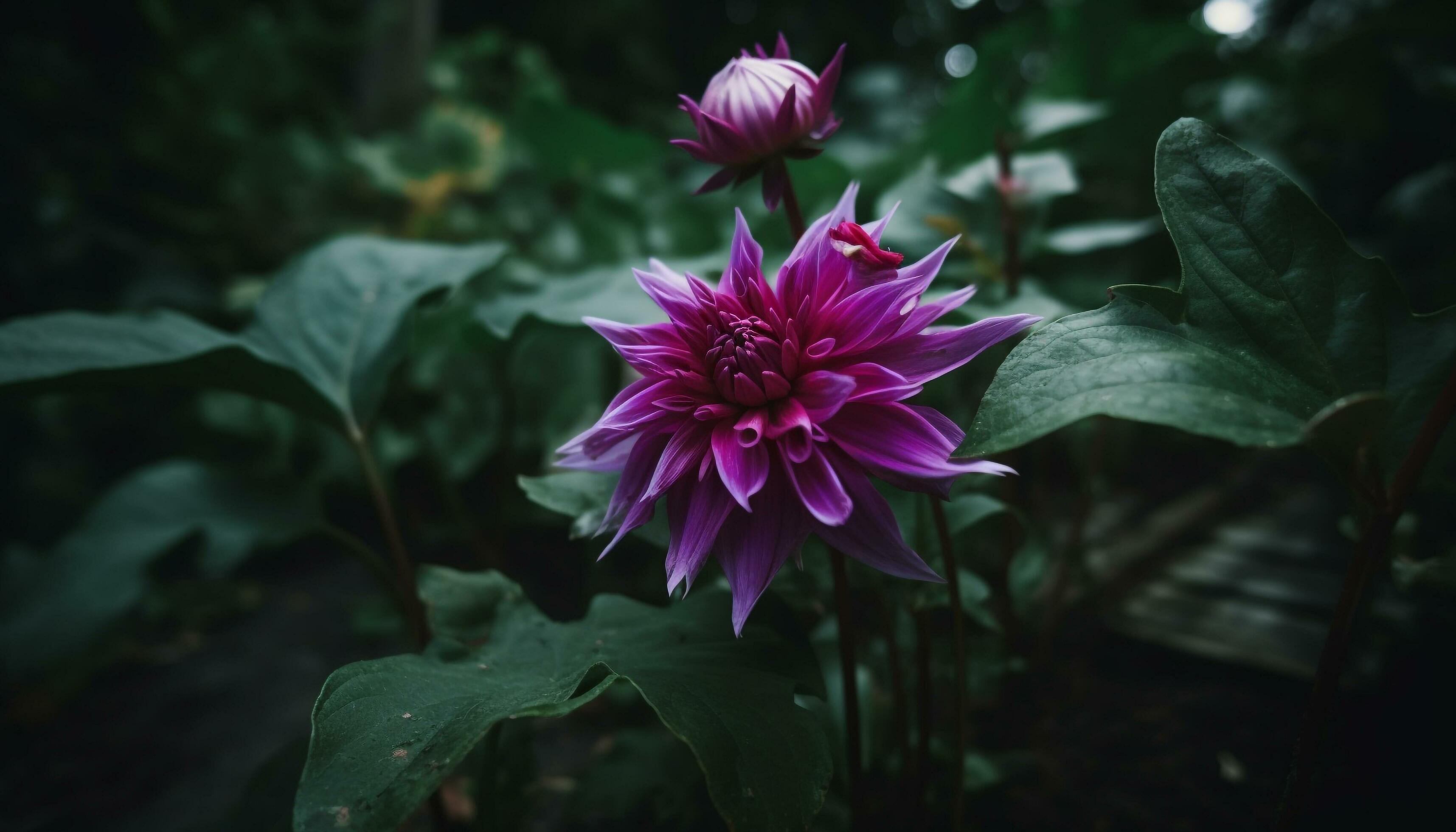 Fresh purple petals adorn single flower in lush green nature generated by AI Stock Free