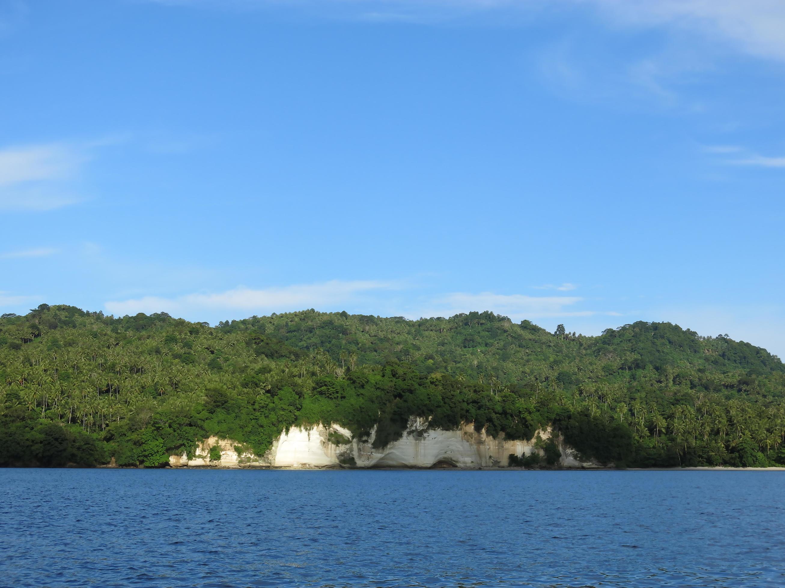 The nature of the Lembeh Strait. Stock Free