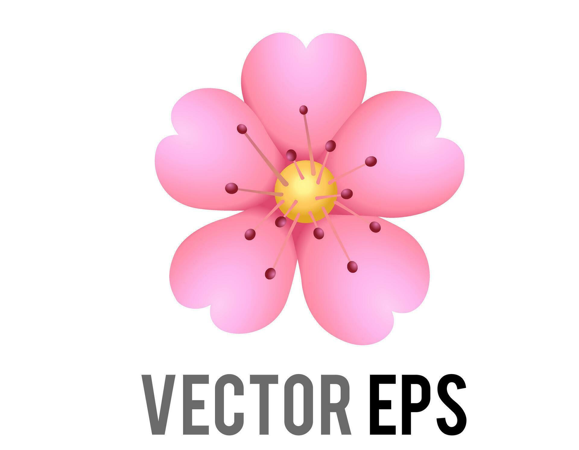 Vector light pink sakura flower of cherry blossom icon with five petals Stock Free and Free SVG