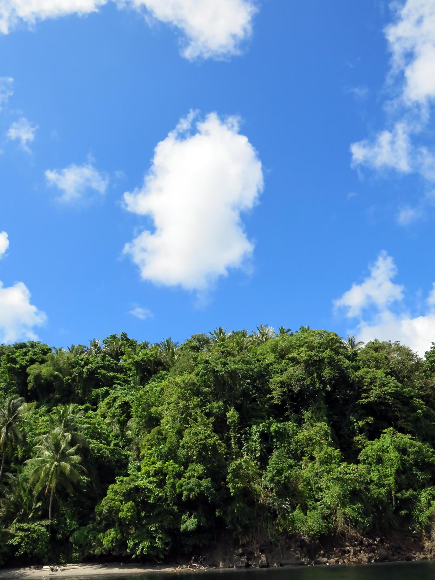 The nature of the Lembeh Strait. Stock Free