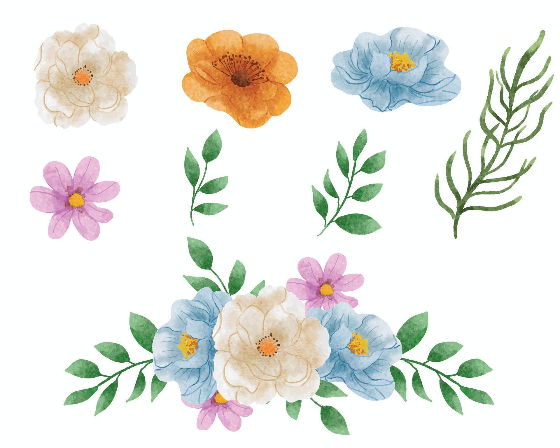 Blue and White Watercolor Flower Set Stock Free