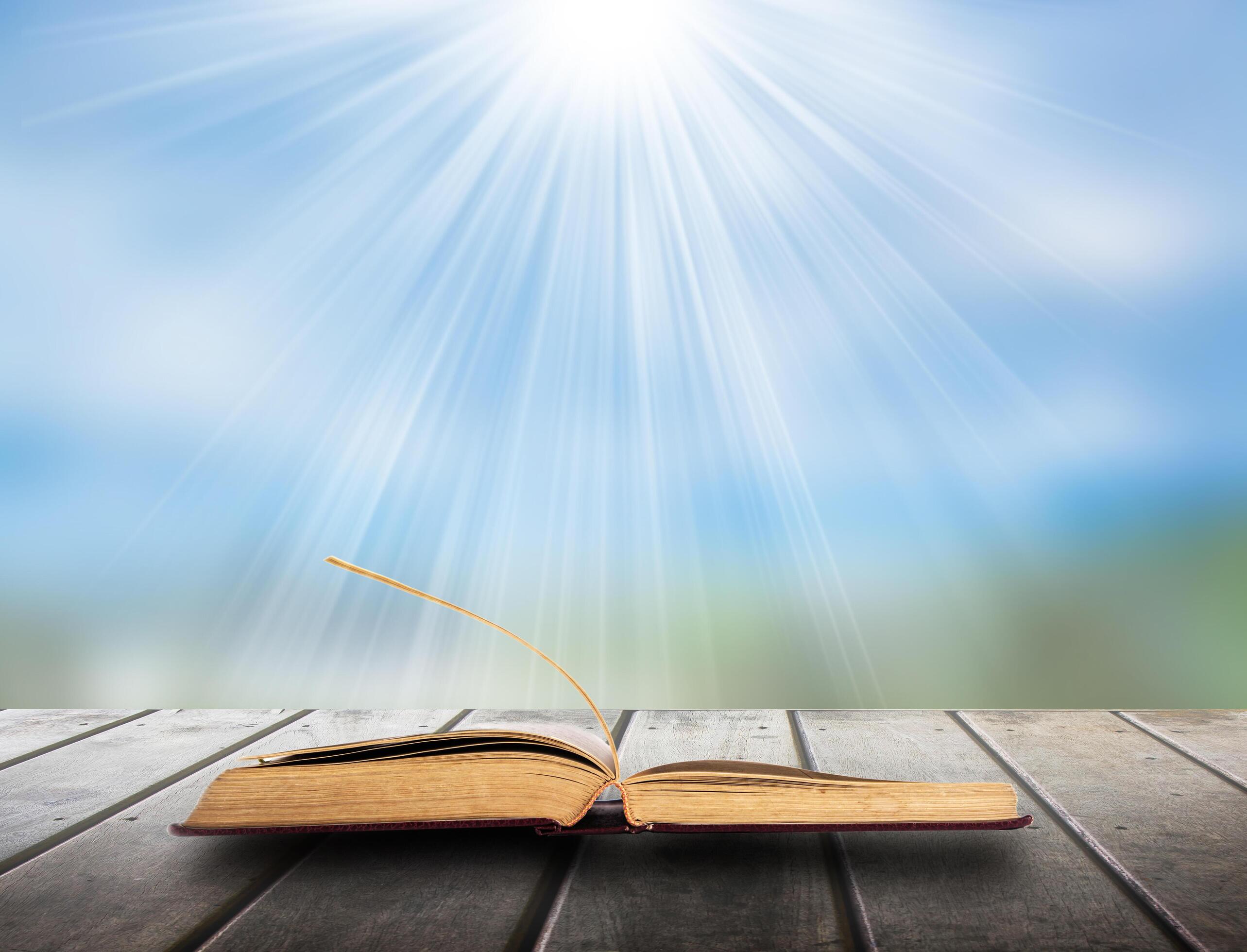 Book of nature on wood floor Stock Free