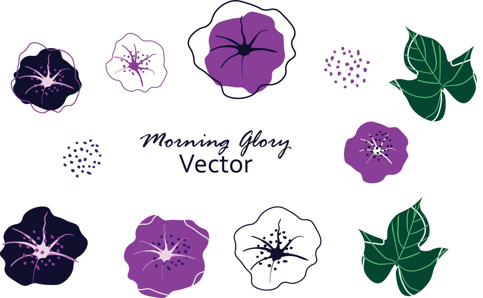 Vector illustration of Morning glory flowers with leaves frame wreth Stock Free