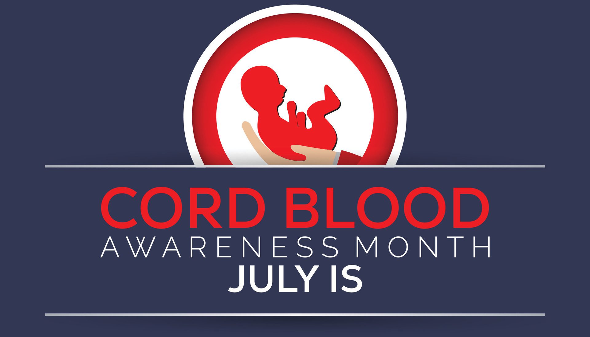 cord blood awareness month observed every year in July. Template for background, banner, card, poster with text inscription. Free Vector