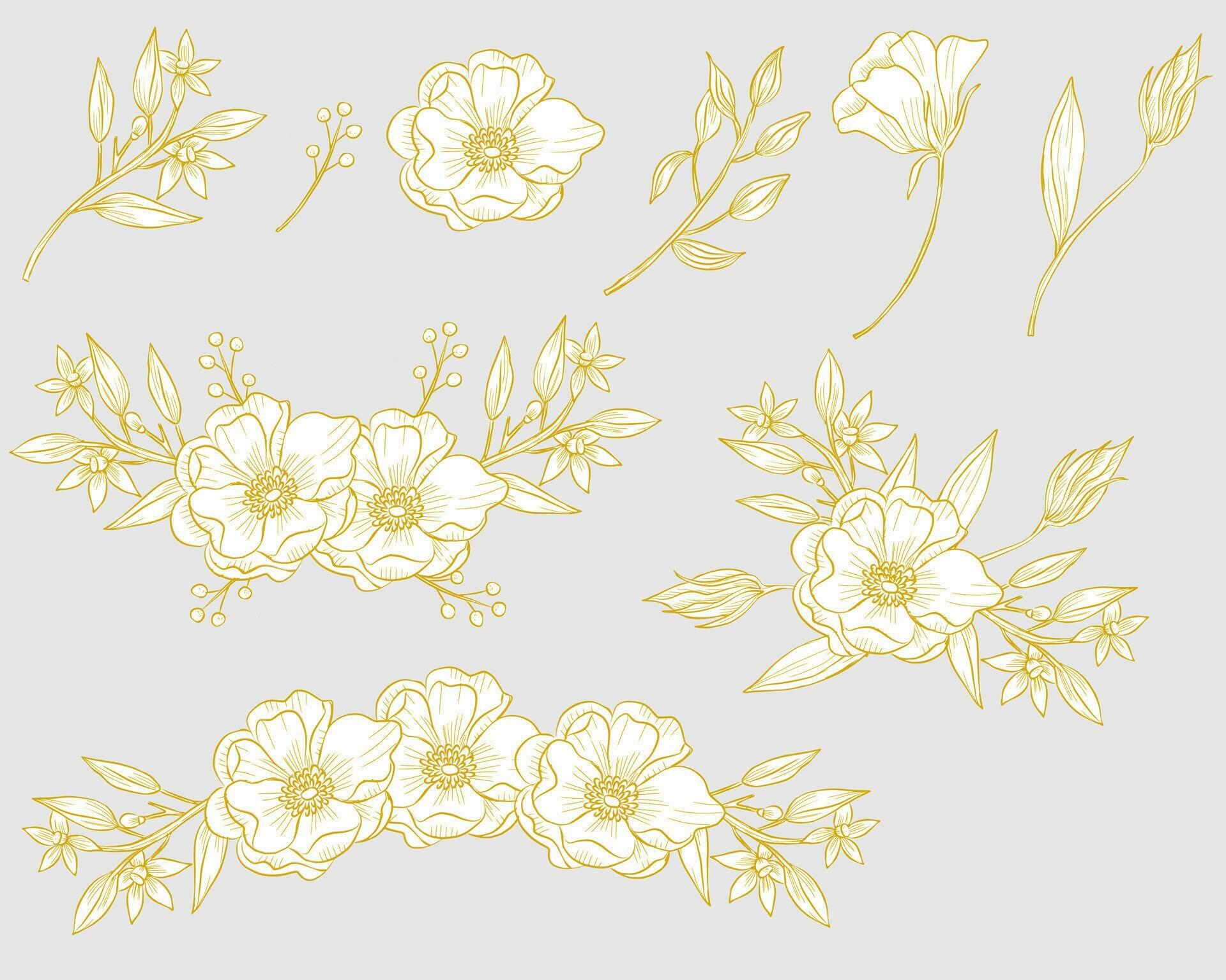 Hand Drawn Anemone and Jasmine Flower Stock Free