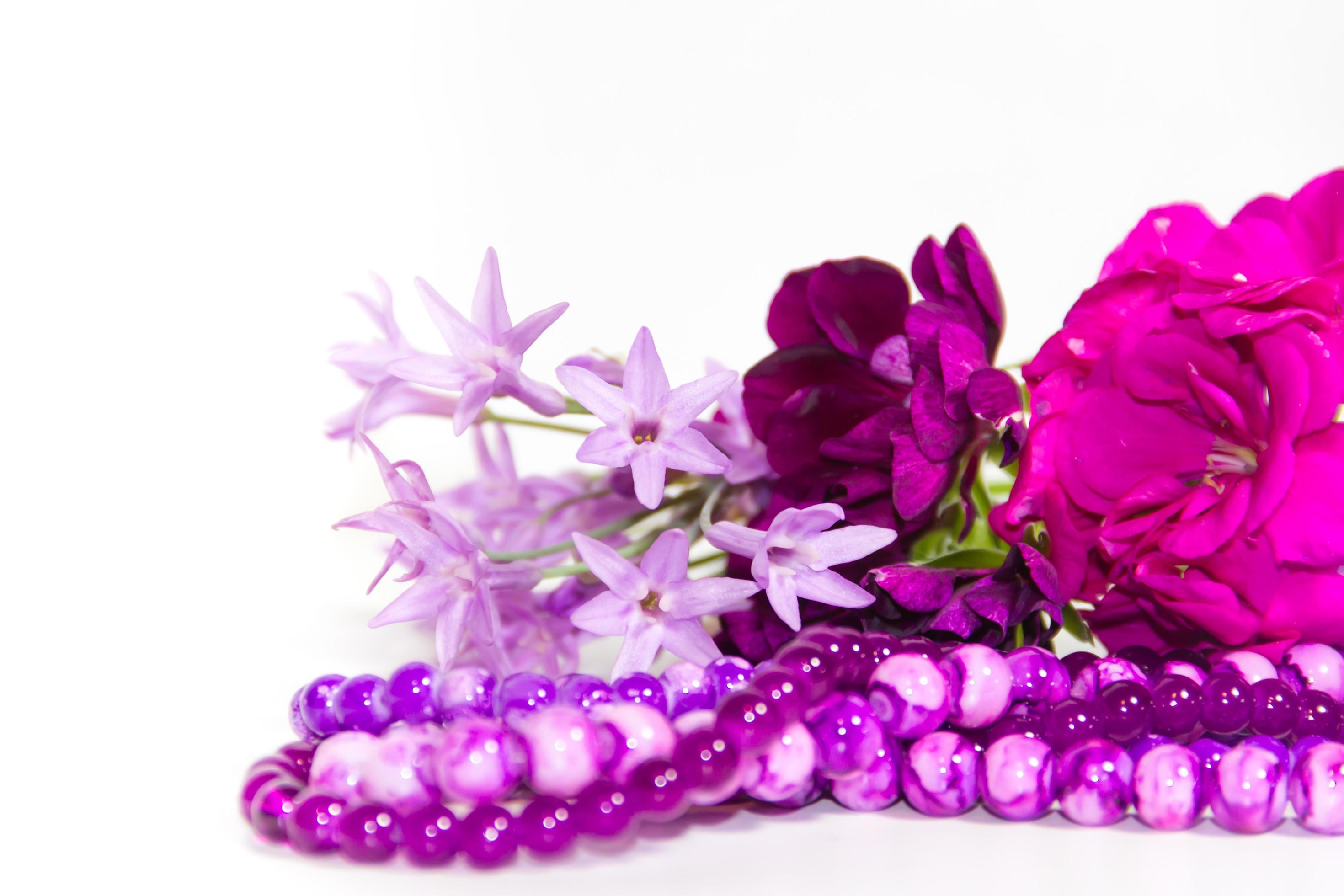 feminine and romantic pearls and flowers in violet tone Stock Free