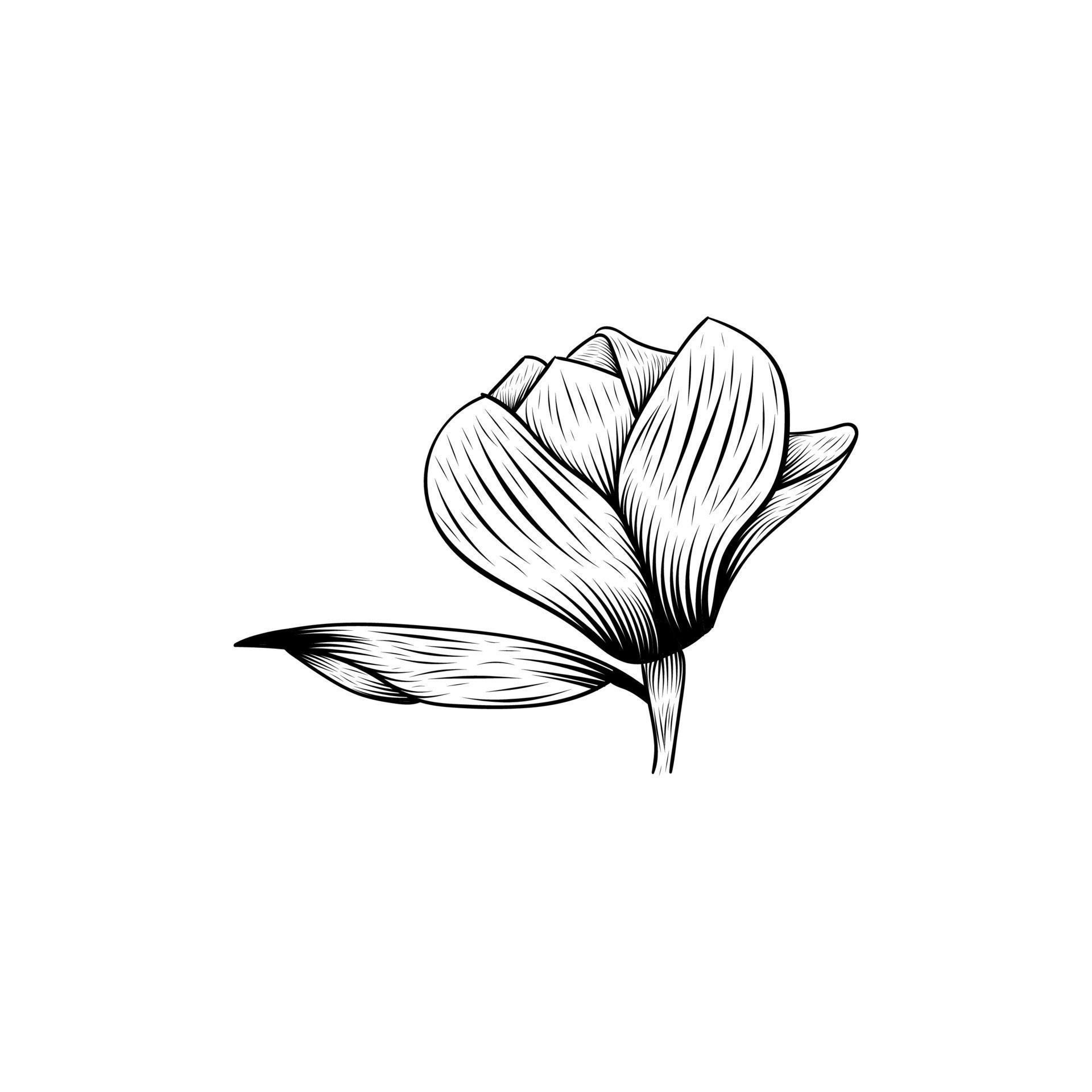 floral flower beauty lineart illustration design Stock Free and Free SVG