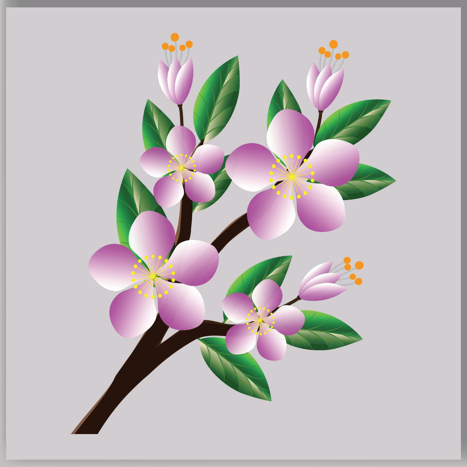 Vector spring Sakura cherry blooming flower bouquet. Stock Free