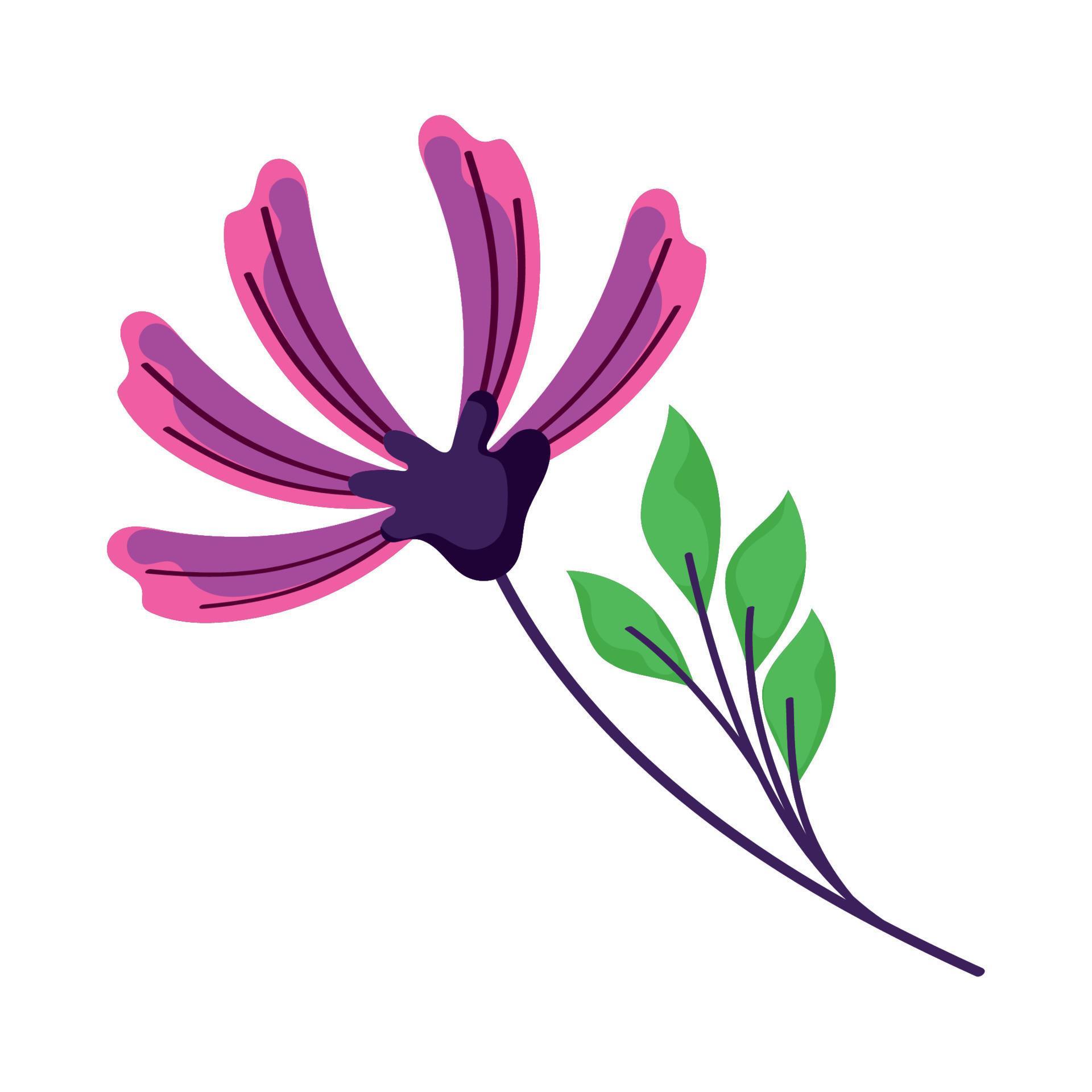 purple flower and stem Stock Free