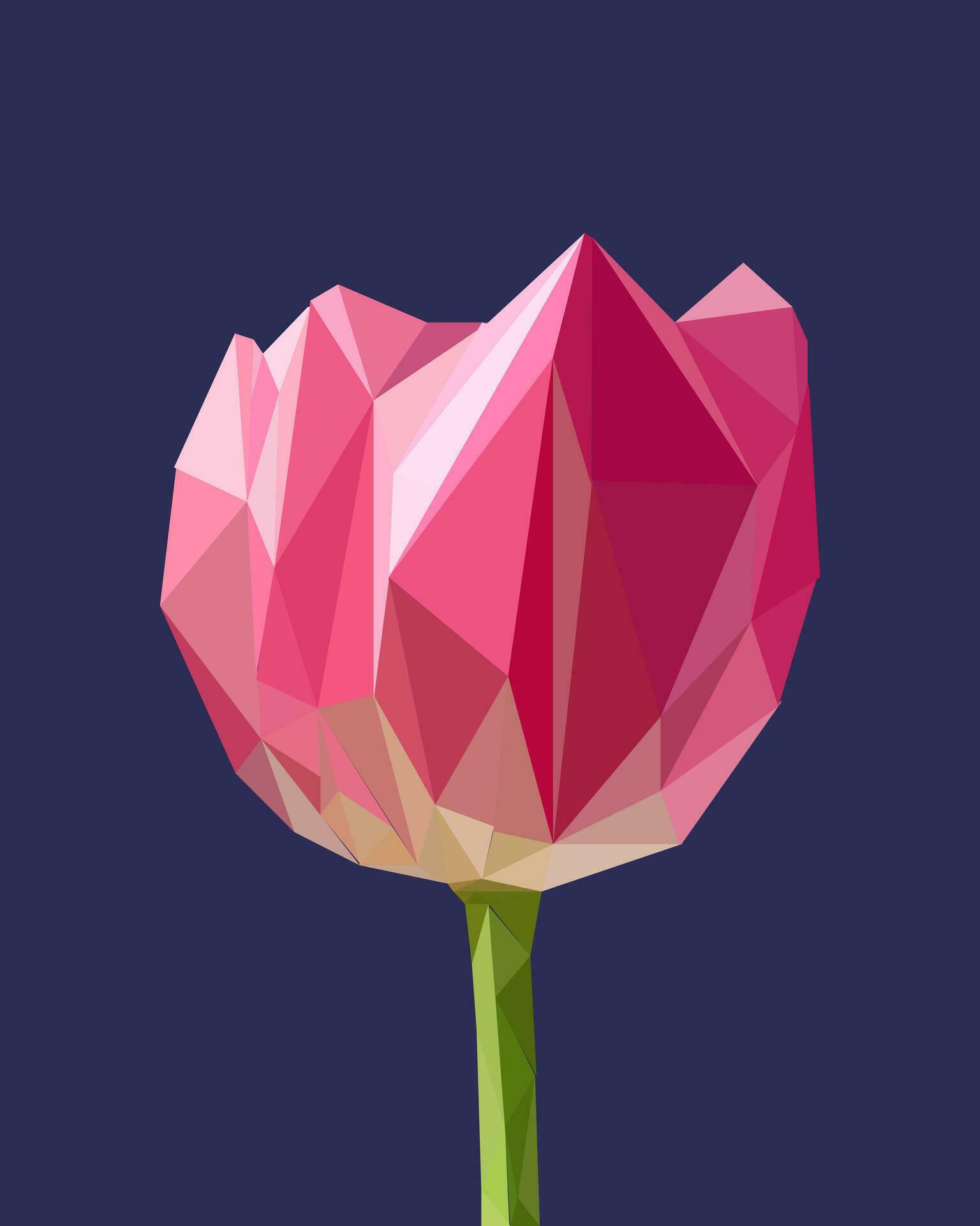 Tulip flower in low poly style on dark blue background. Stock Free