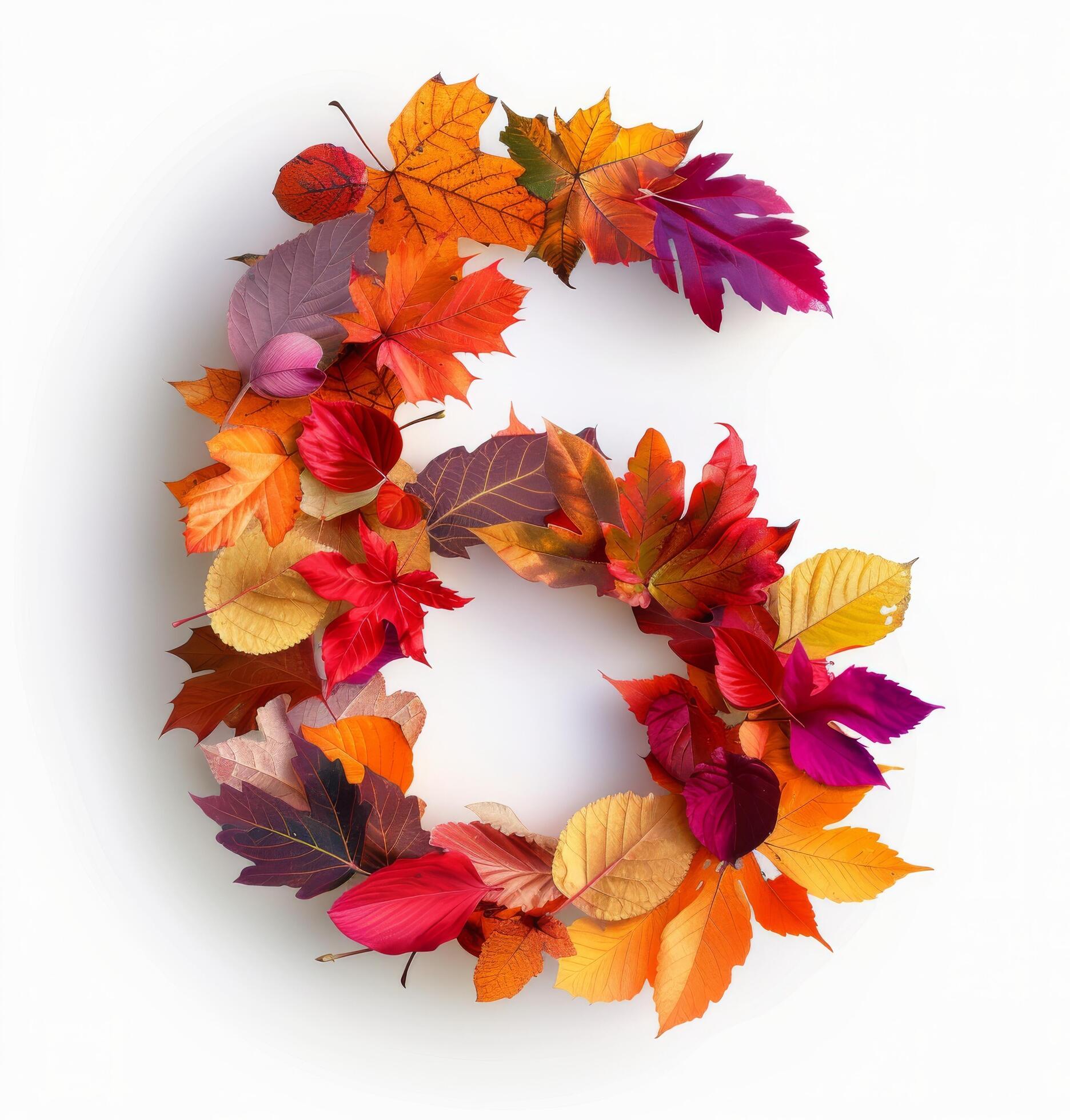 Colorful Autumn Leaves Forming Number Six on White Background Stock Free