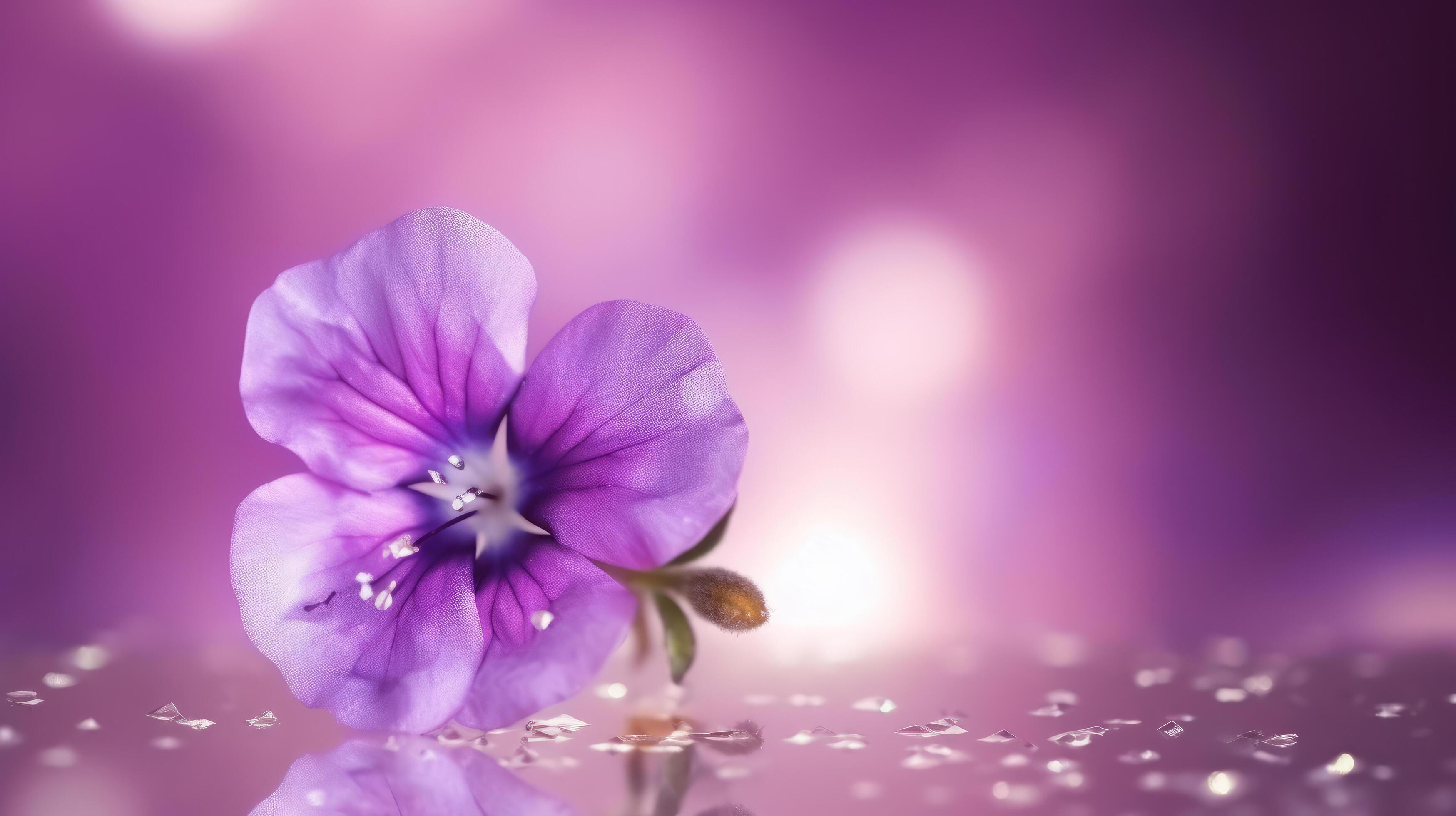 Violet flower background. Illustration Stock Free