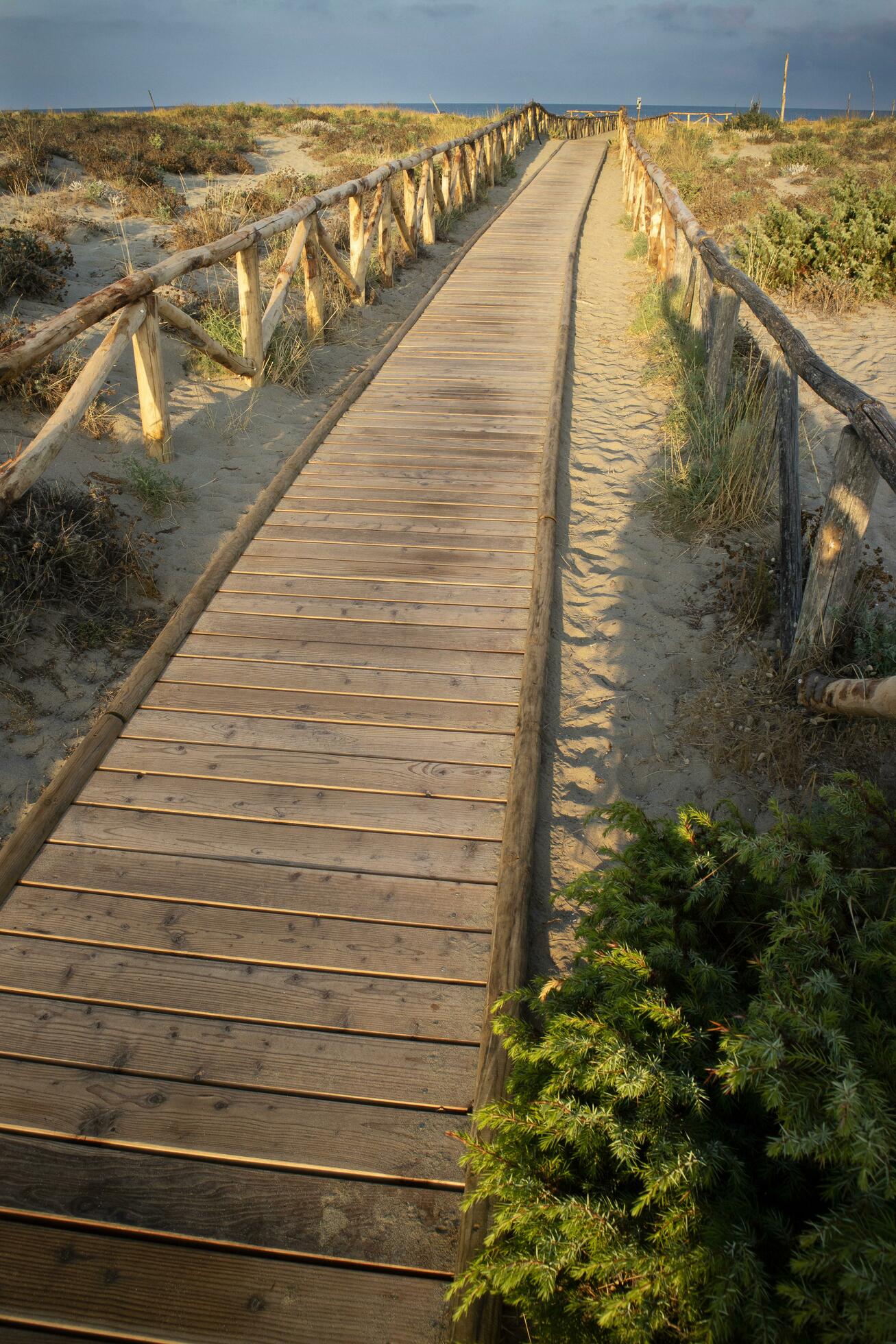 Walkway leading to the sea in the natural park of Viareggio Italy Stock Free