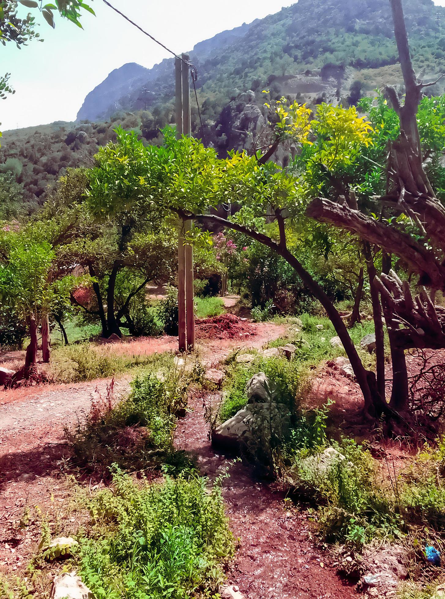 Peaceful stroll along the serene footpath in the heart of nature tranquil and picturesque countryside landscapes Stock Free