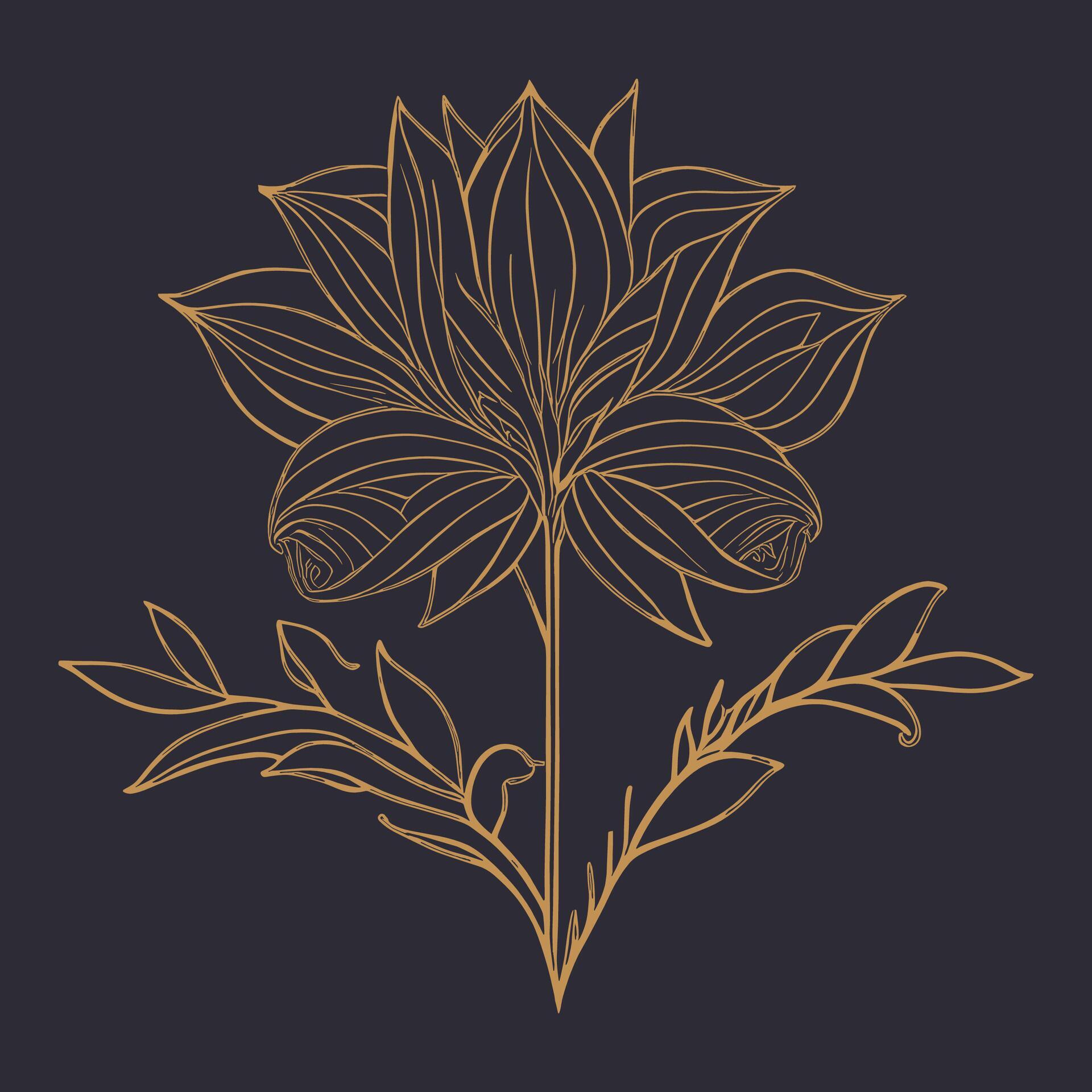 Elegant hand drawn decorative lily, design element. Botanical flower line art vector. Stock Free