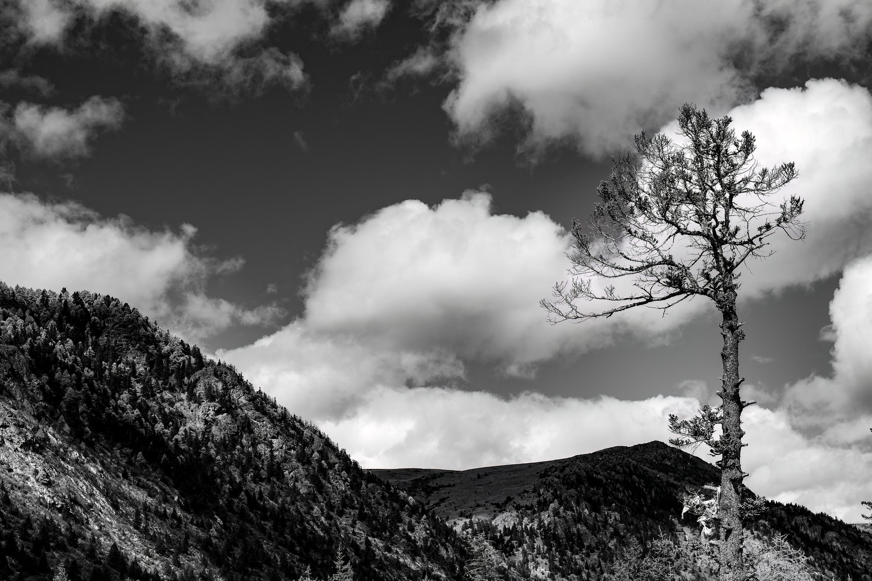 Spectacular scenery in the high mountains of western Sichuan, China, with different seasons Stock Free