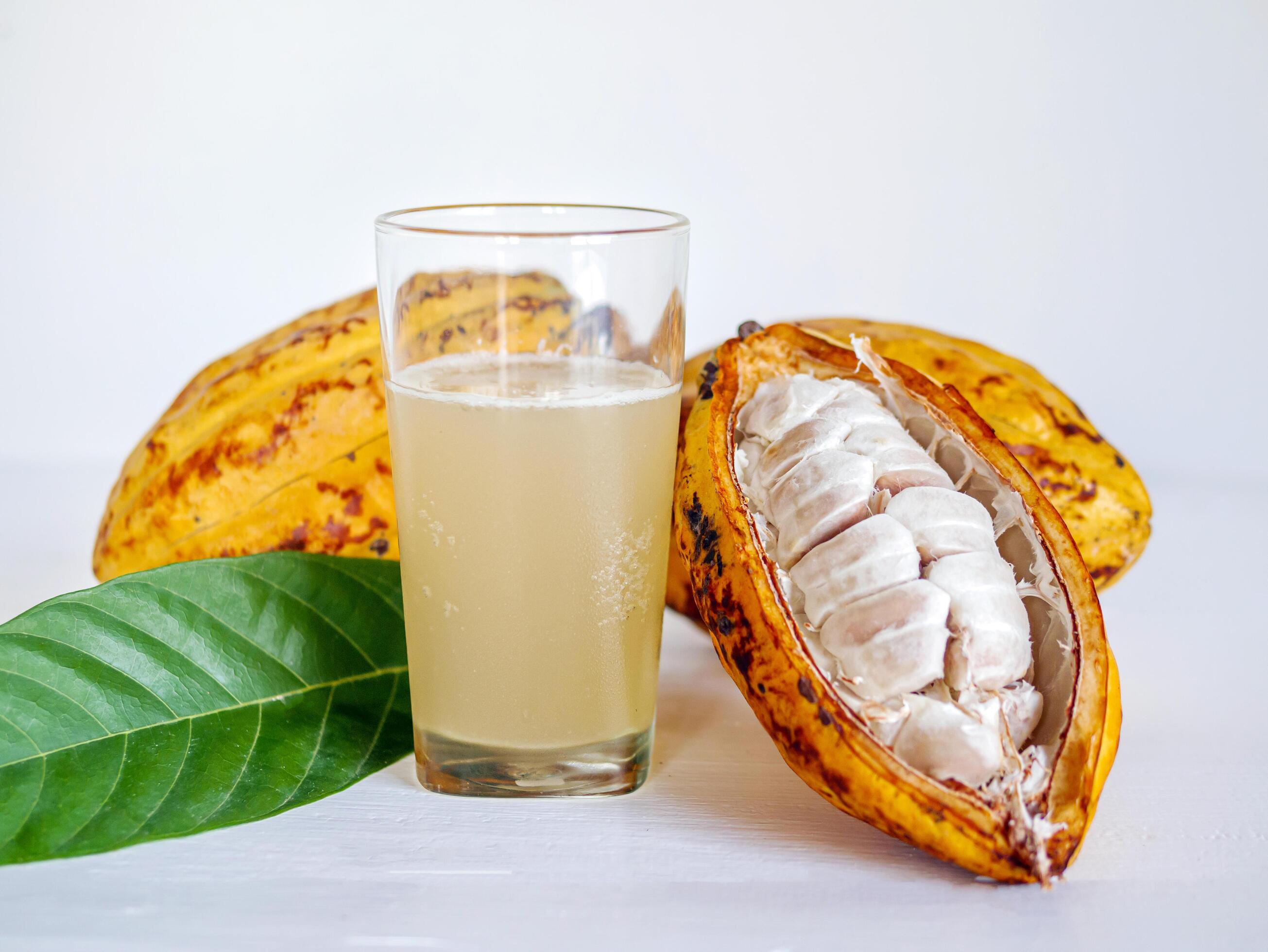 Fresh cacao water in glass and half sliced ripe yellow cacao pod with white cocoa seed, Cacao juice in glass on white wooden background Stock Free