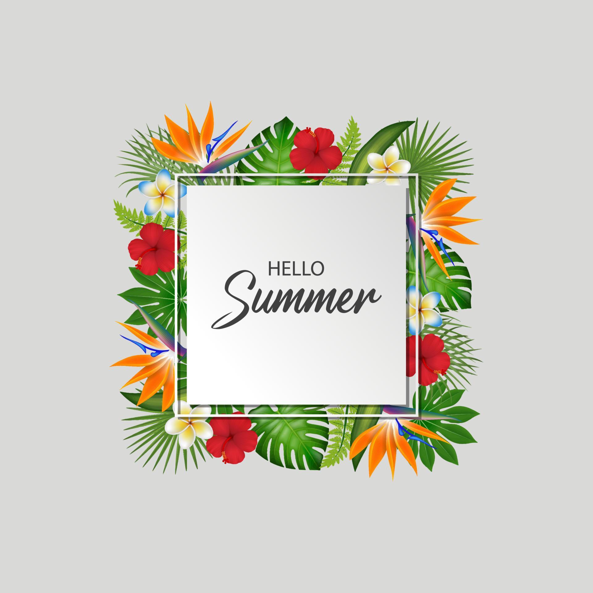 Summer Sale Background With Exotic Leaves And Coloful Flowers. Vector Stock Free