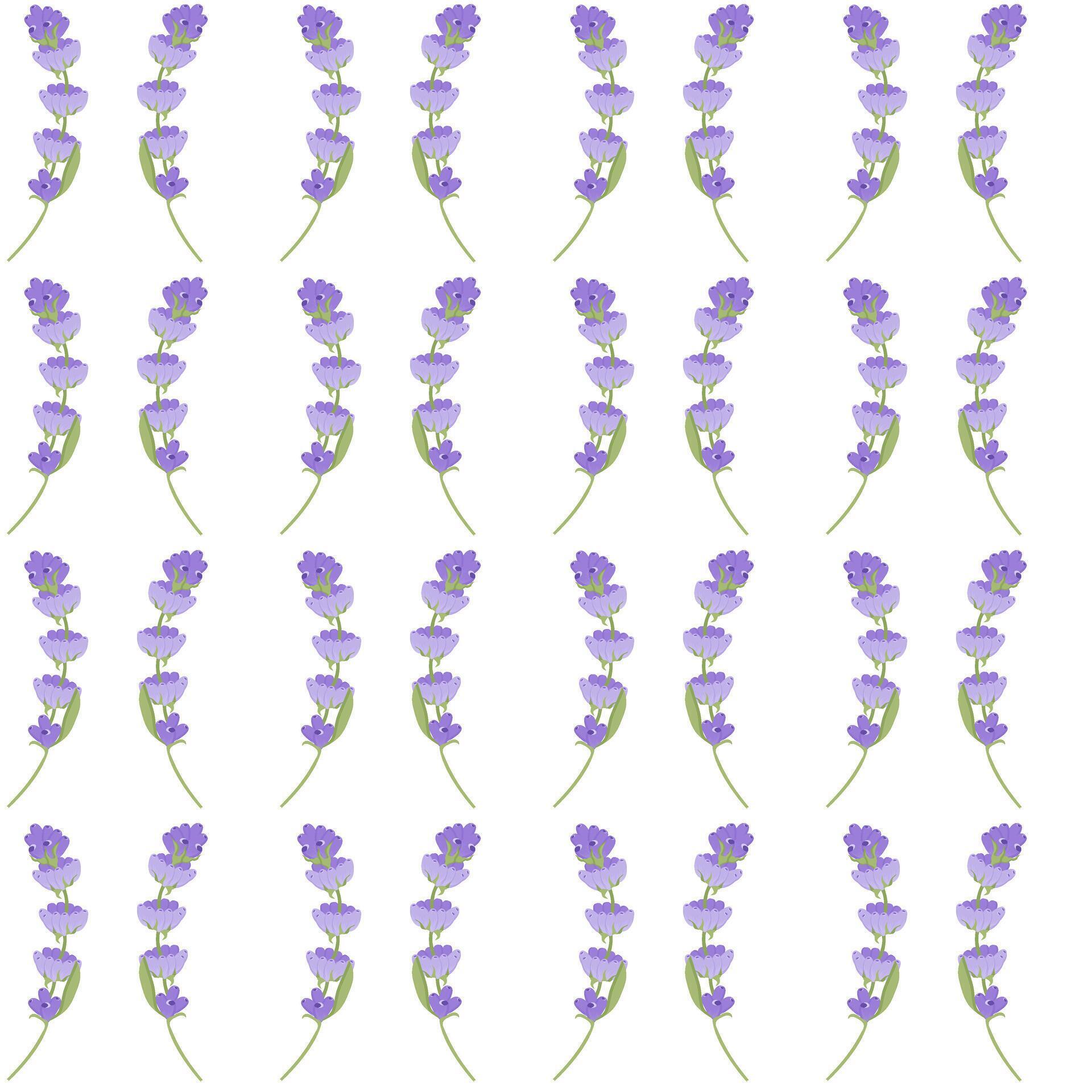 A sprig of lavender. Purple flower. Seamless pattern. illustration. Stock Free