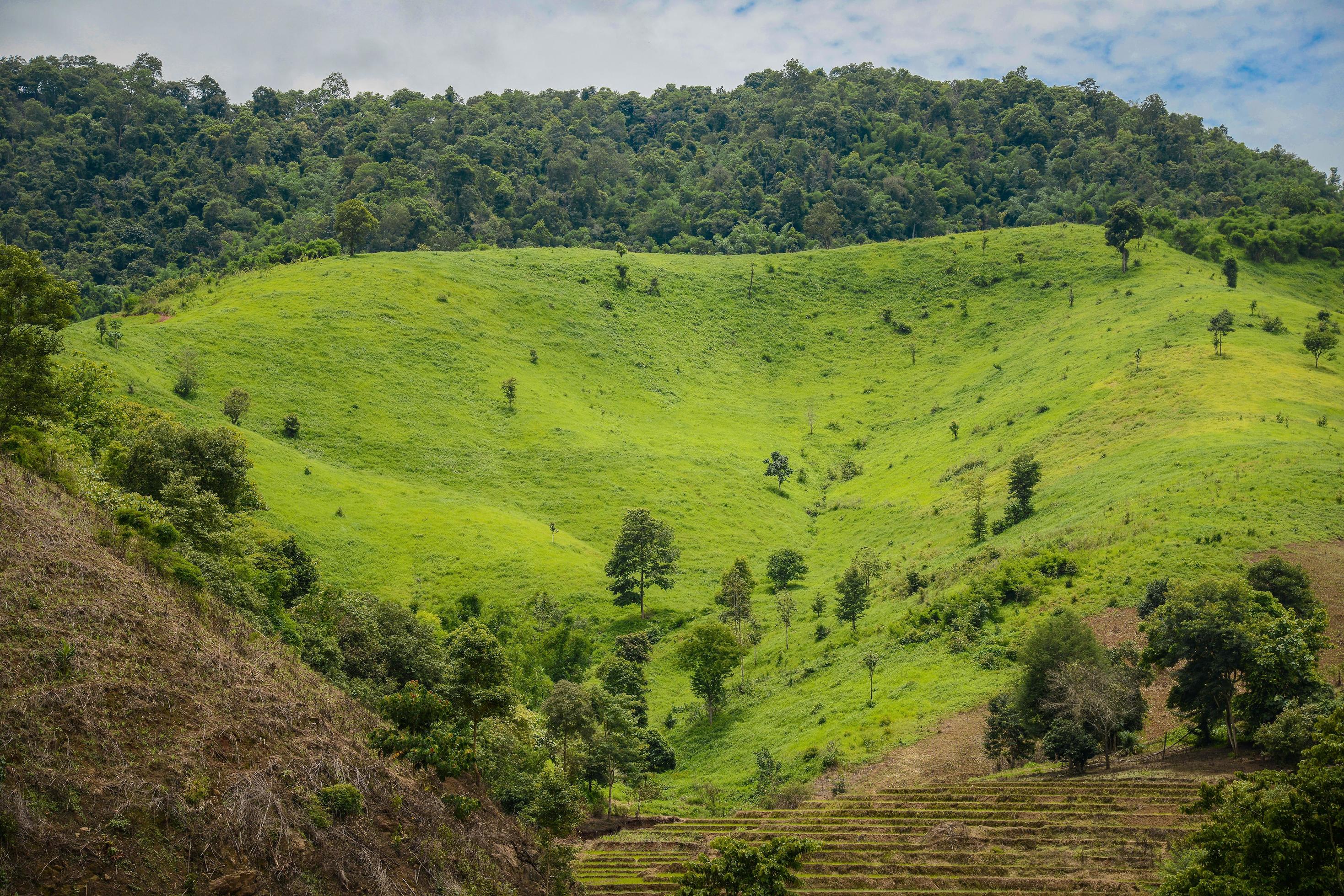 The beautiful scenery view in the countryside of Chiang Rai province of Thailand. Stock Free