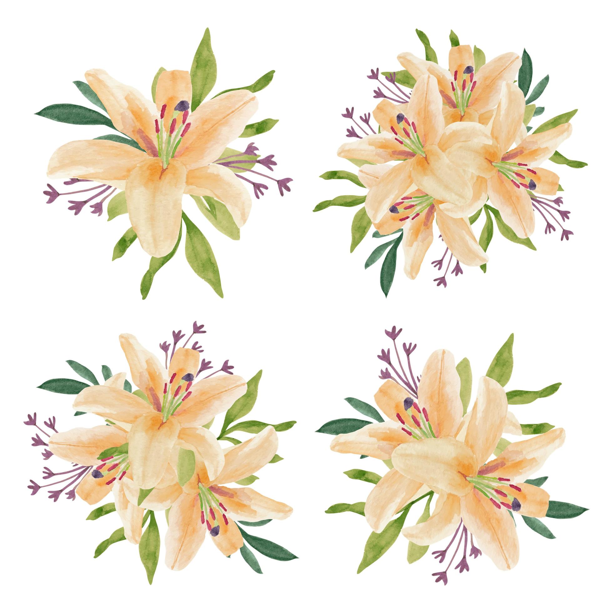 Vintage watercolor beautiful lily flower arrangement set Stock Free
